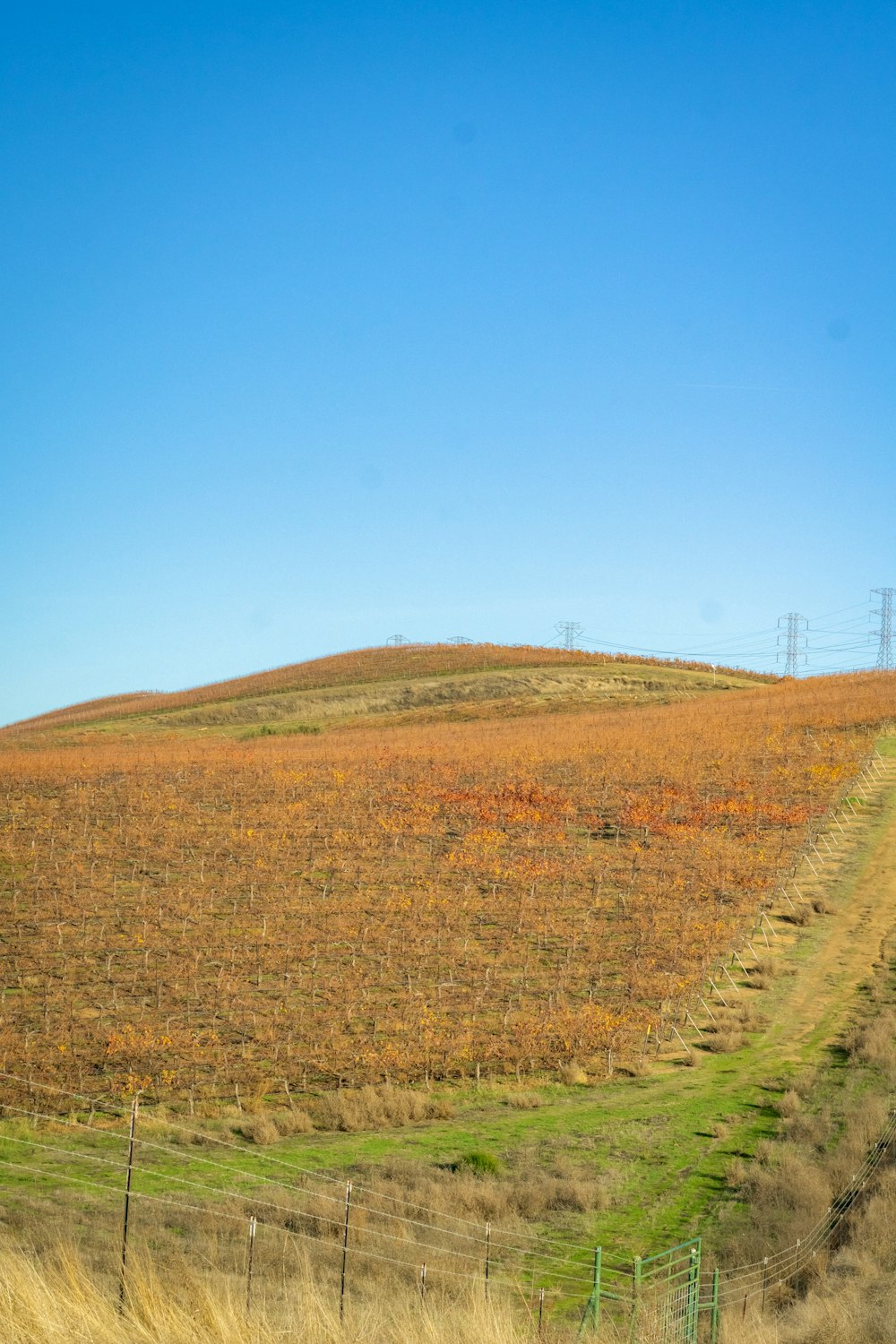 a field with a fence and a hill in the background