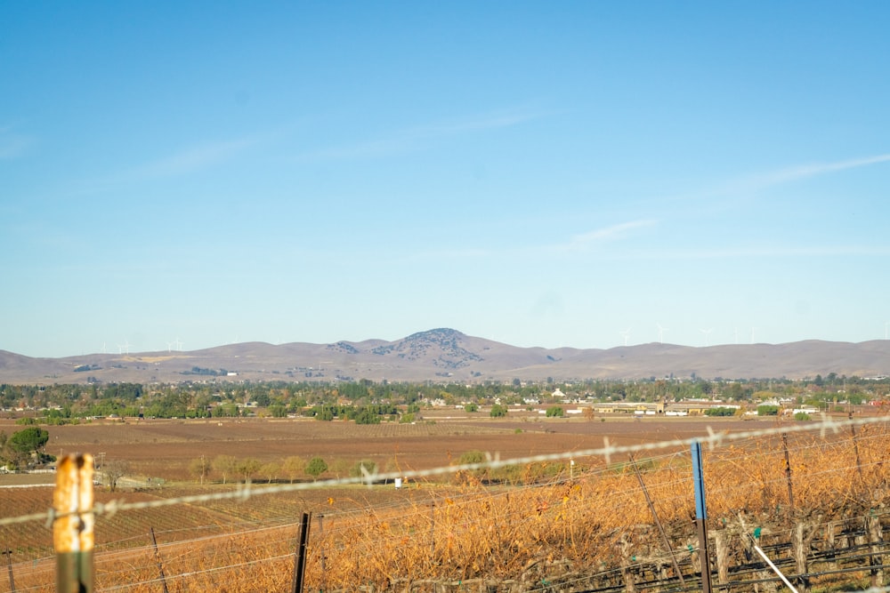 a field with a fence and mountains in the background