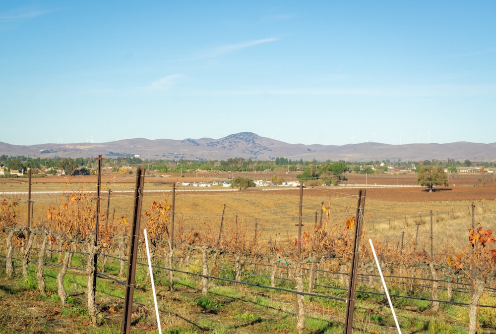 a field with a fence and mountains in the background