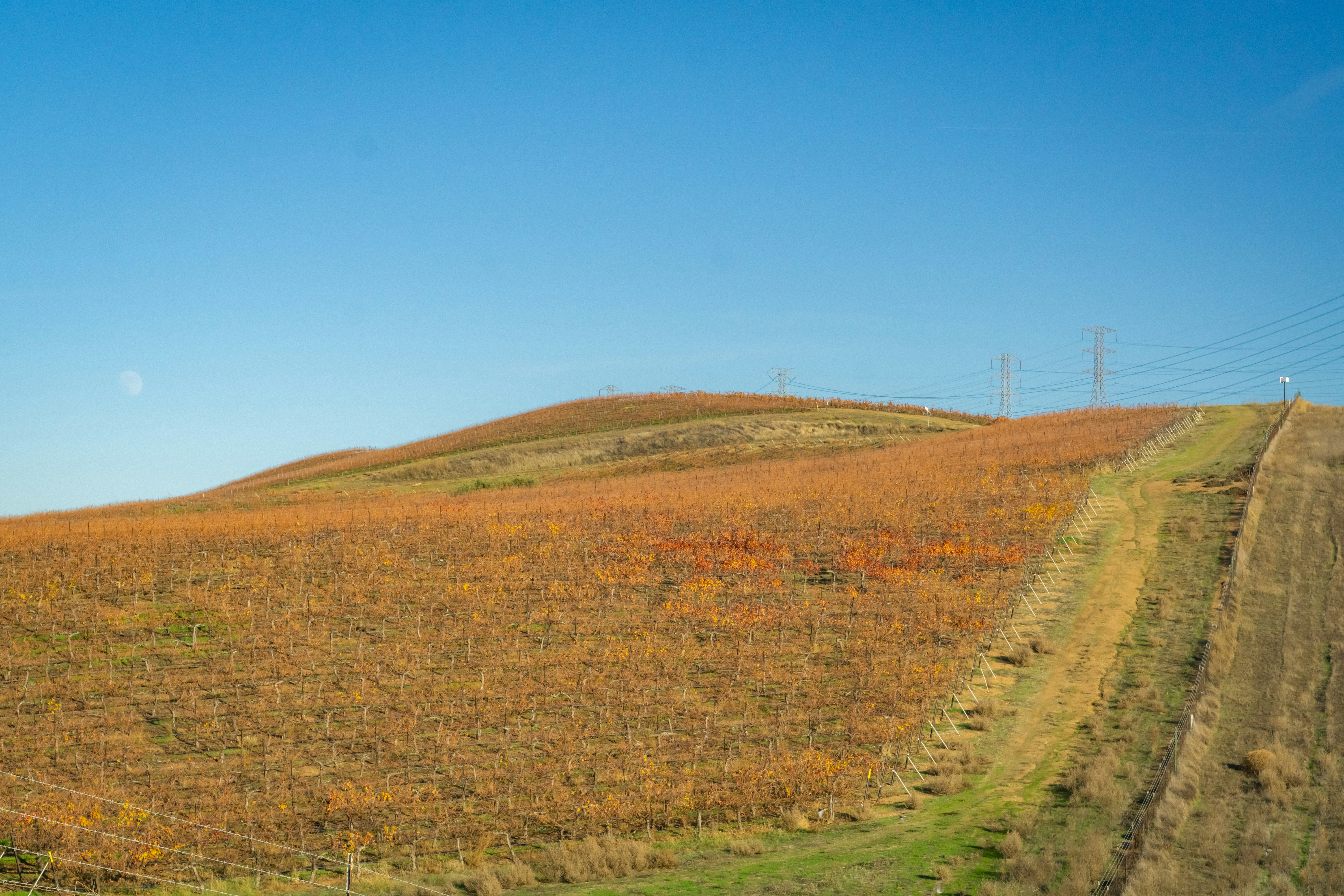 Photo by spencer_demera