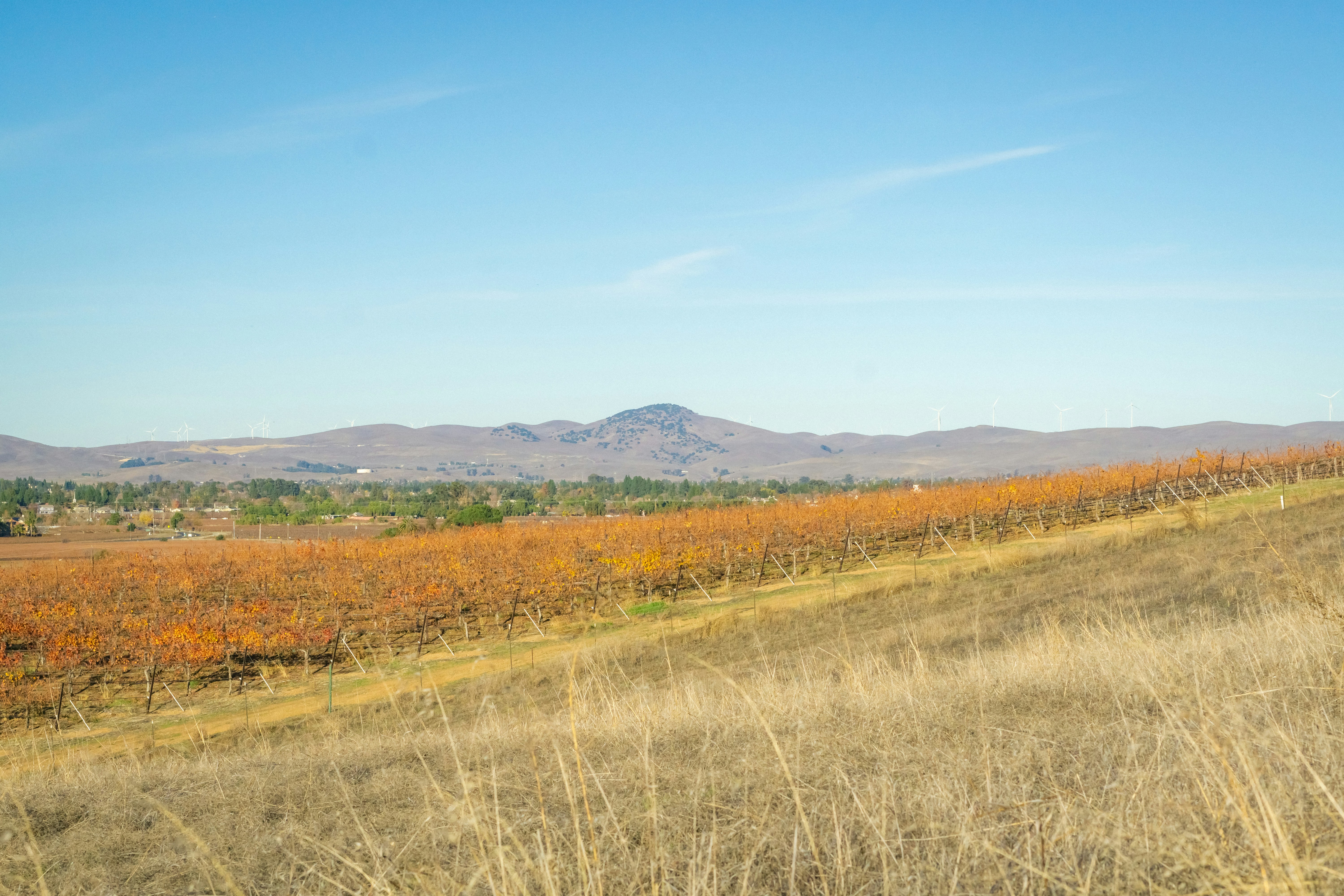 Photo by spencer_demera