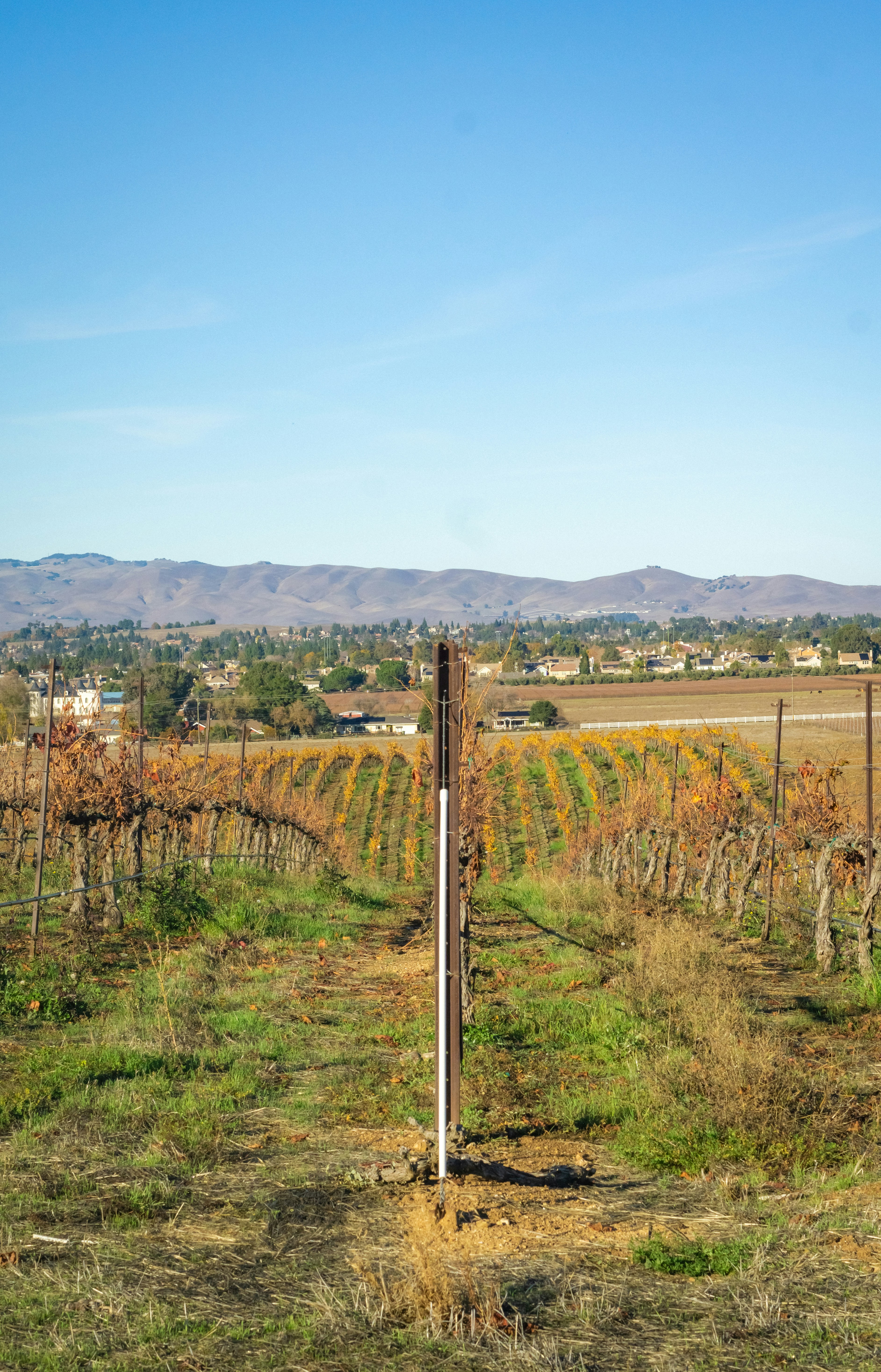 Photo by spencer_demera