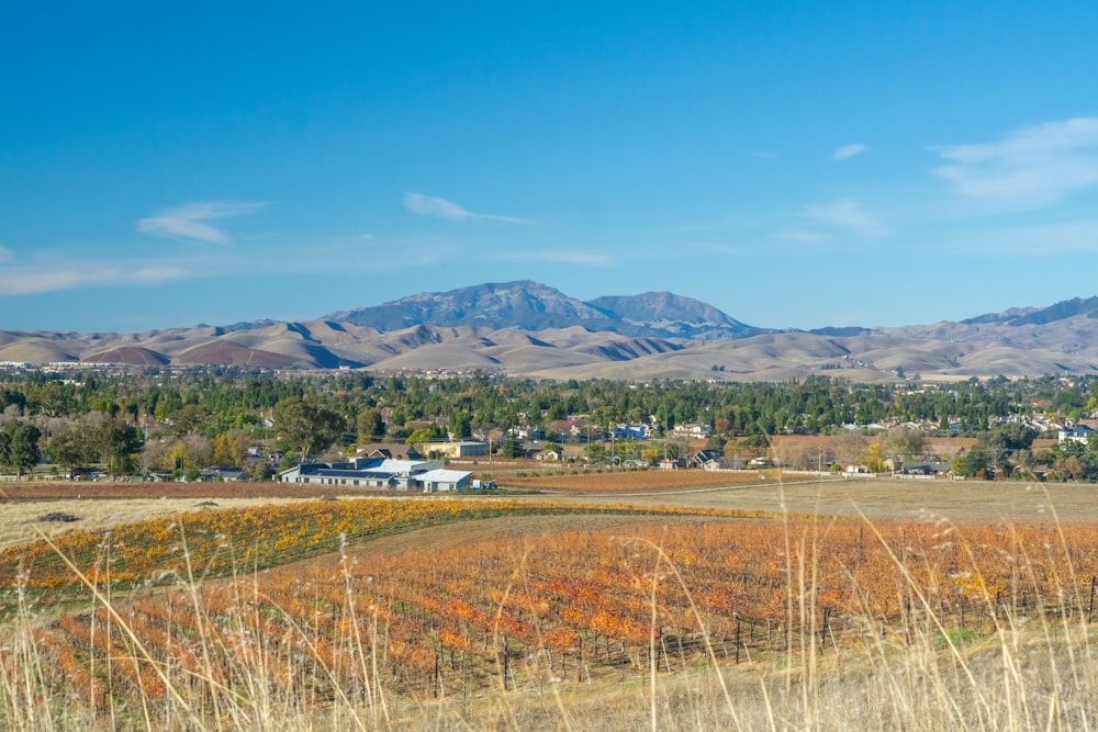 uma vista de uma área rural com montanhas ao fundo