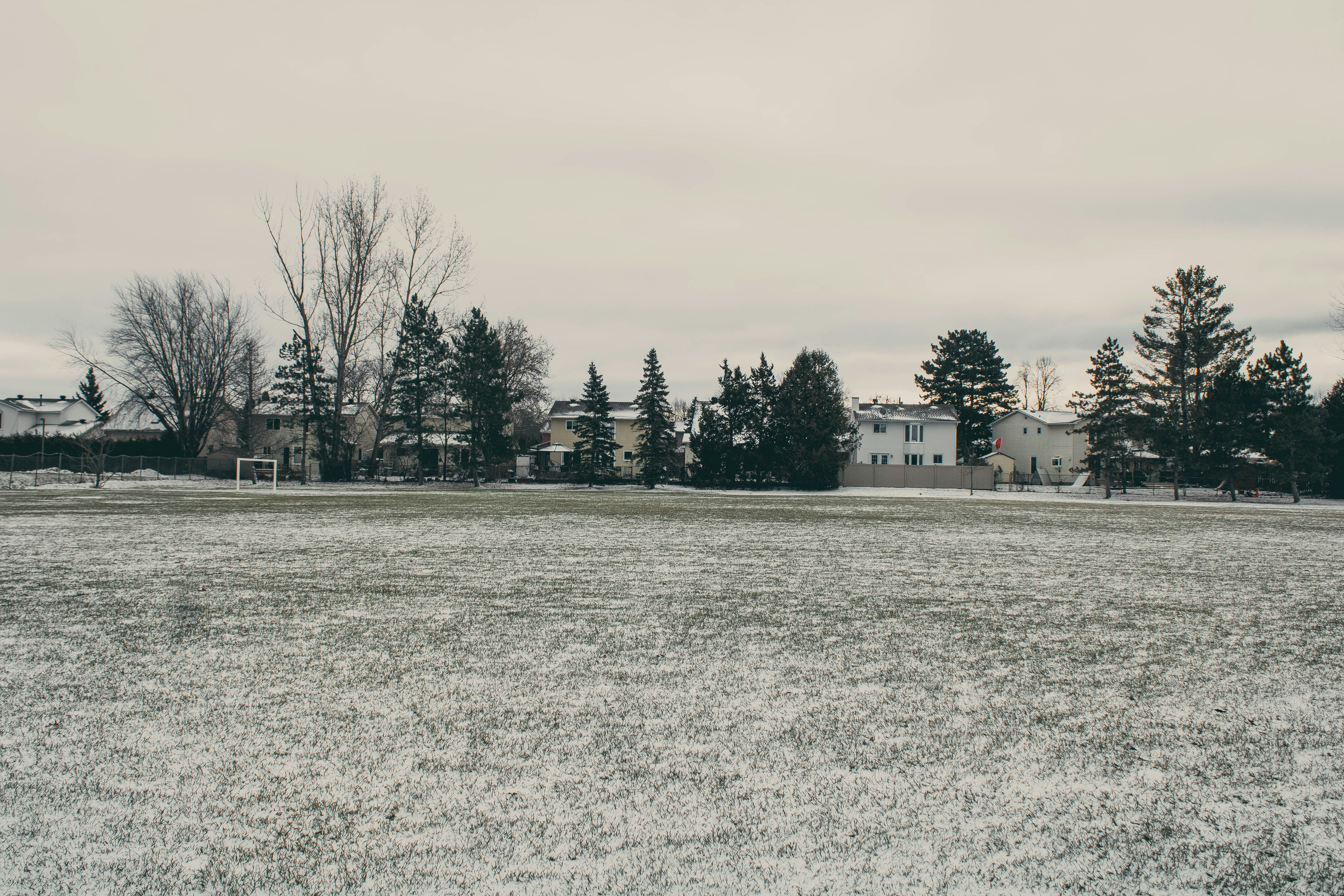 Photo by hamidsiddiqi7