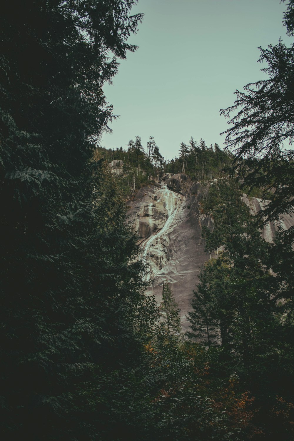 a view of a waterfall through the trees