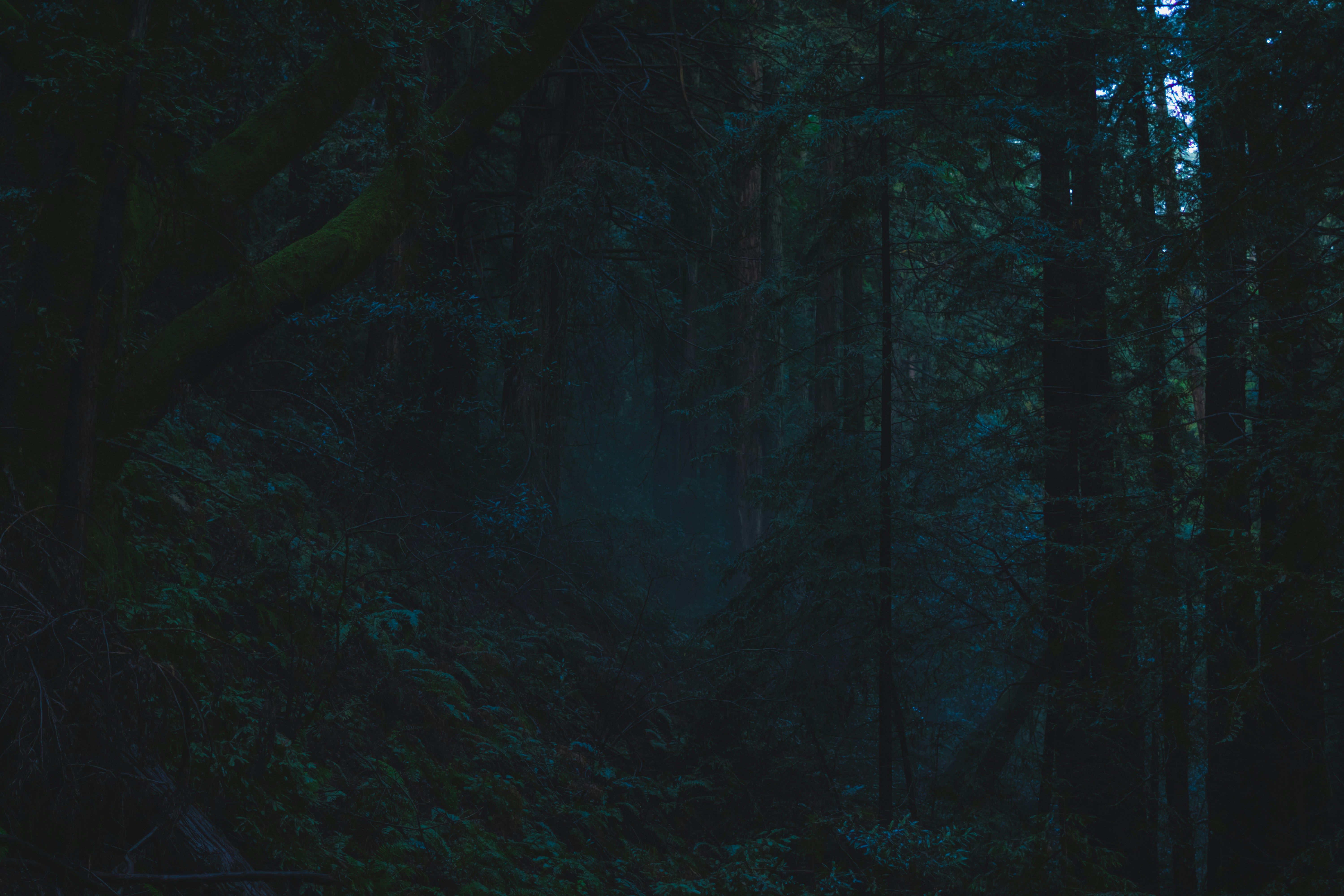 Photo by spencer_demera