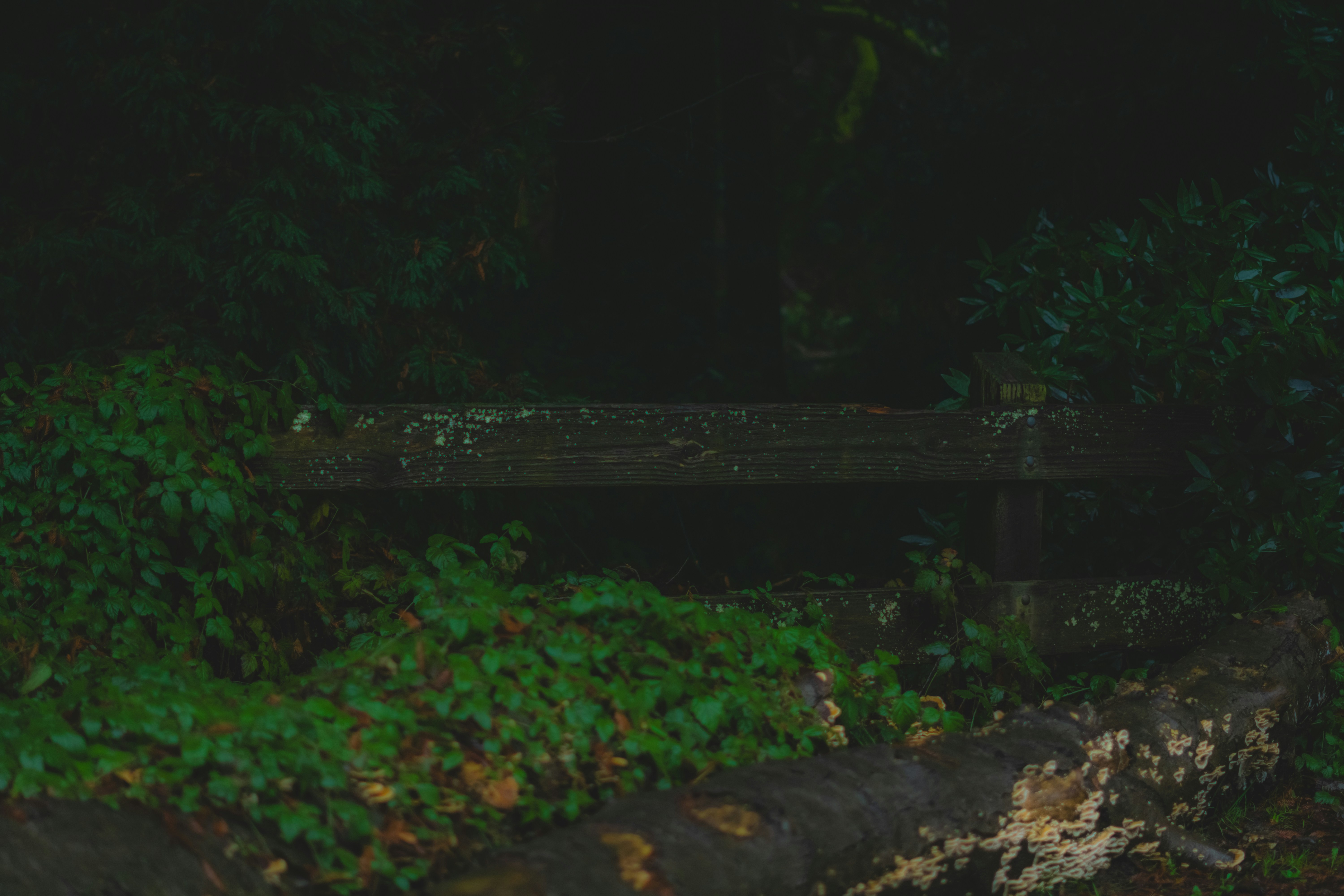 Photo by spencer_demera