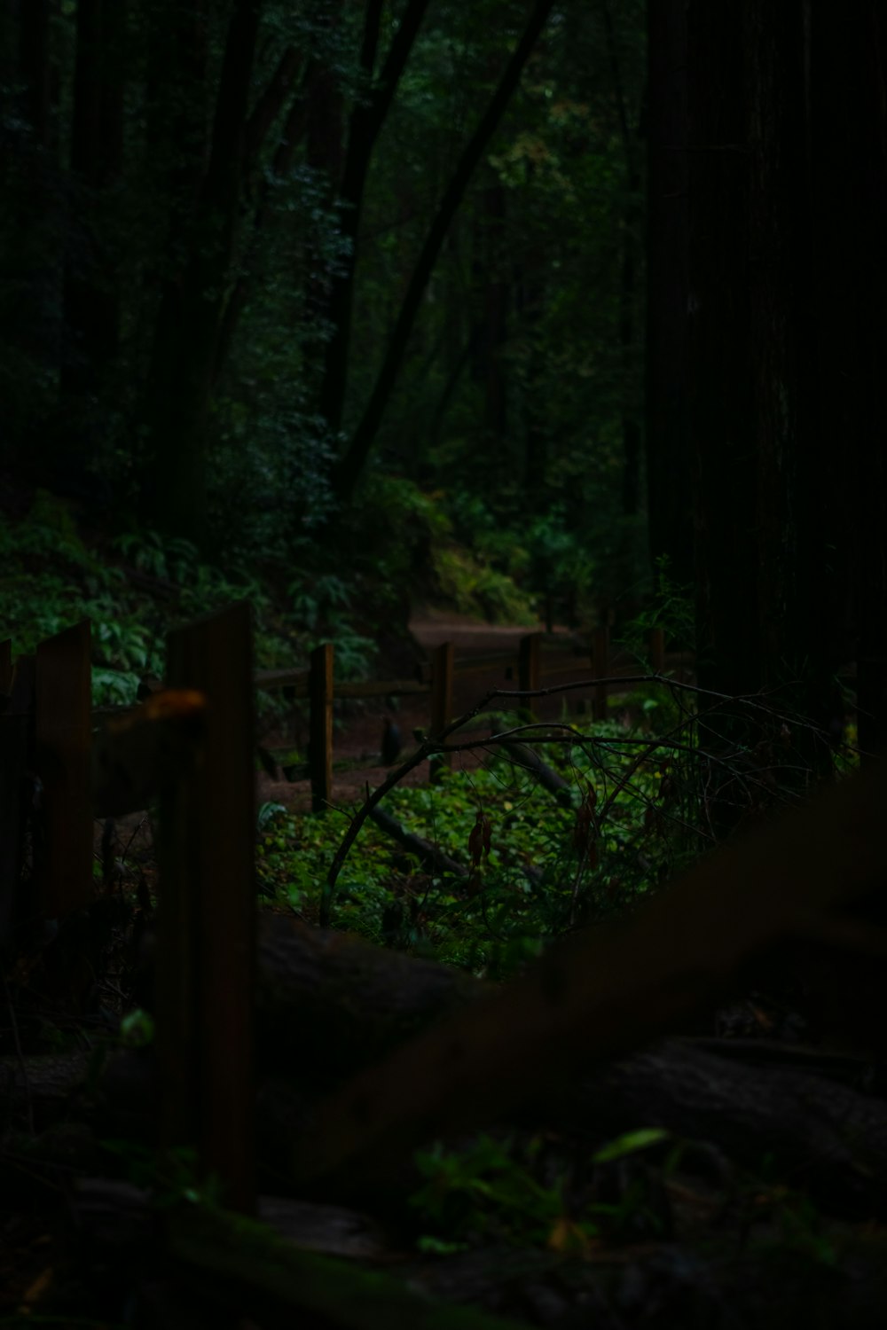 a wooden fence in the middle of a forest