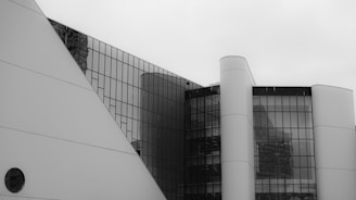 a black and white photo of a modern building