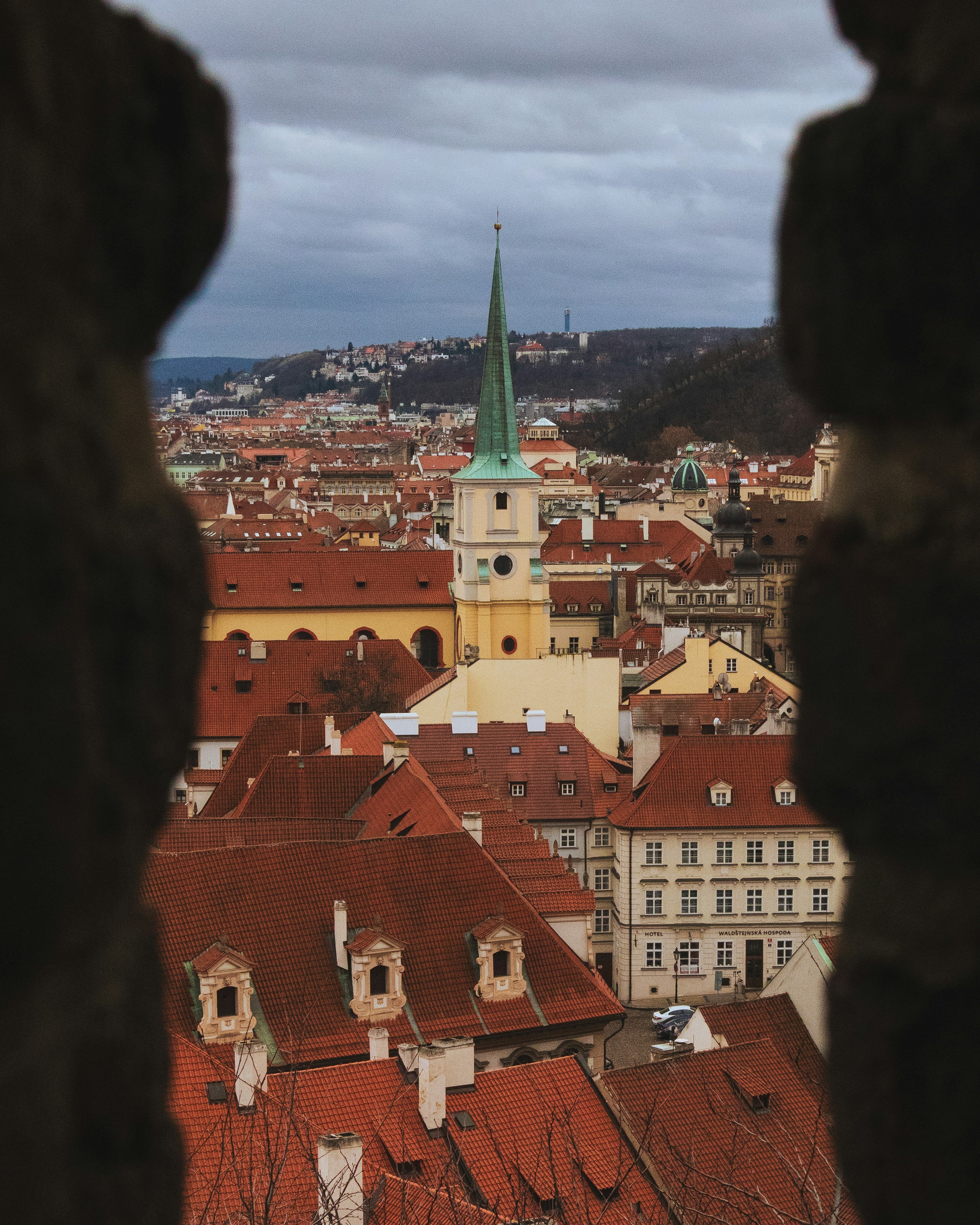 Photo by inspired_pup