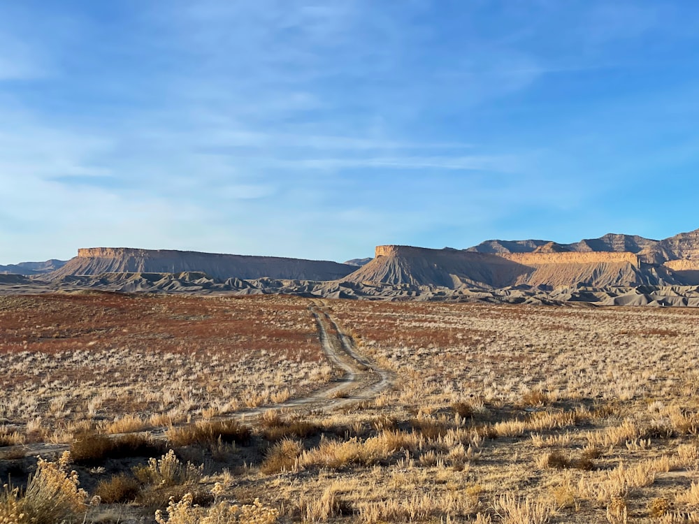 a dirt road in the middle of a desert