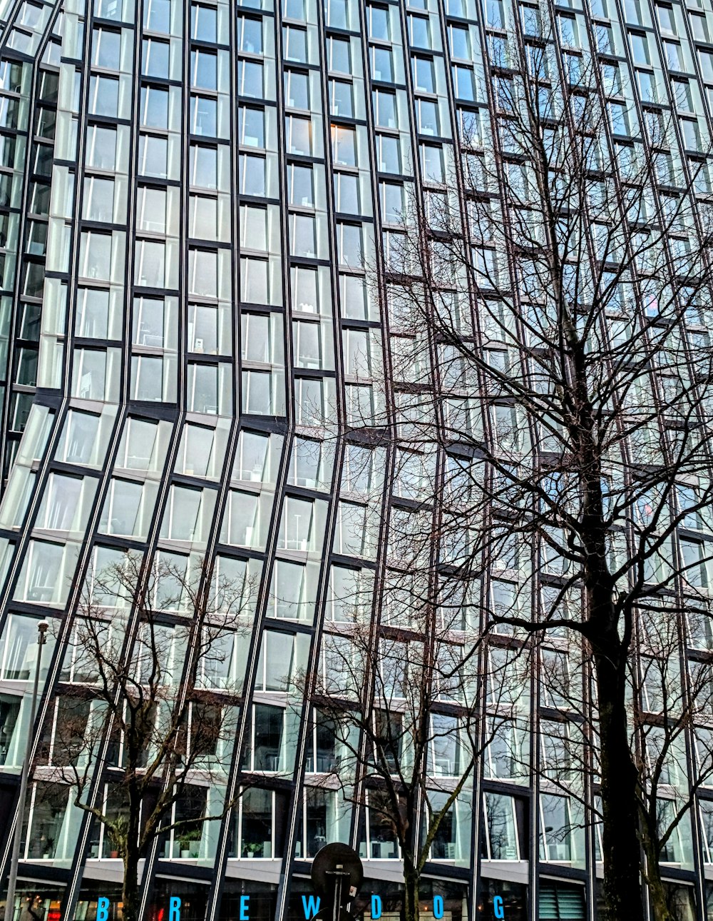 a very tall building with many windows next to a tree