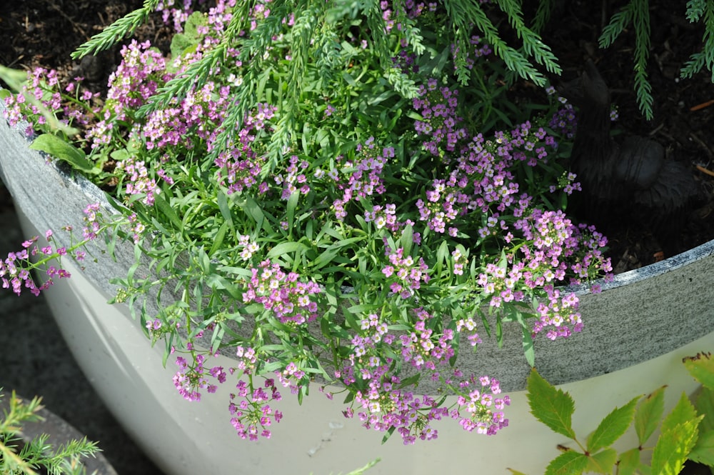 a planter filled with lots of purple flowers