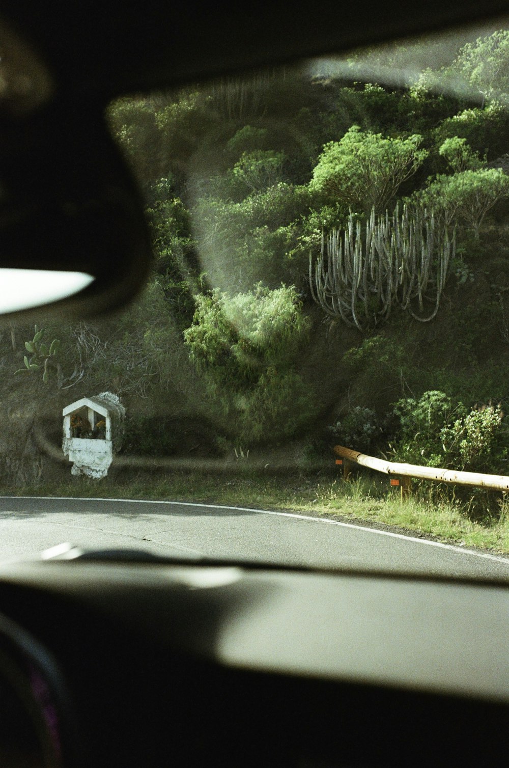 a view from inside a car of a road and trees