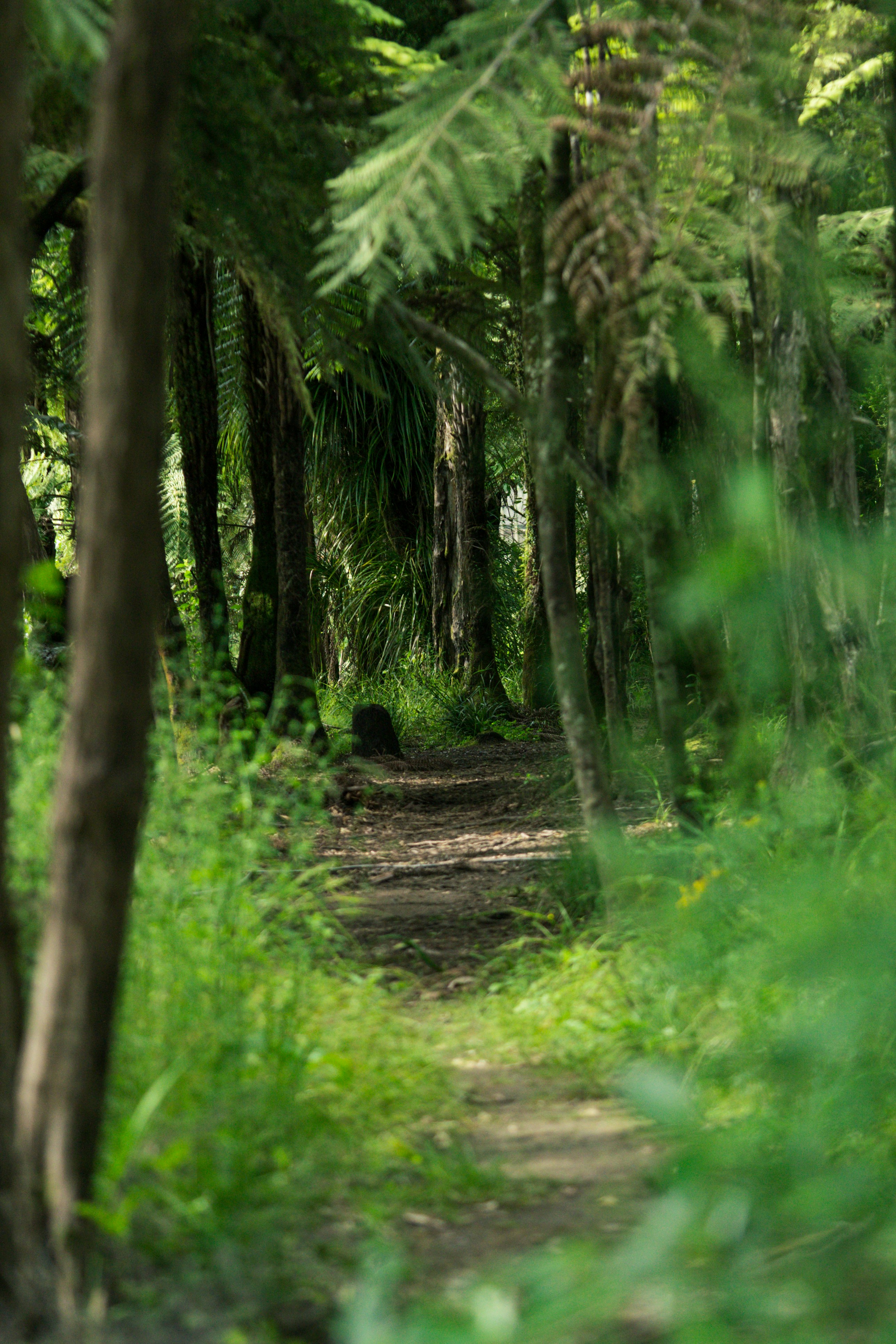 Photo by countingframez