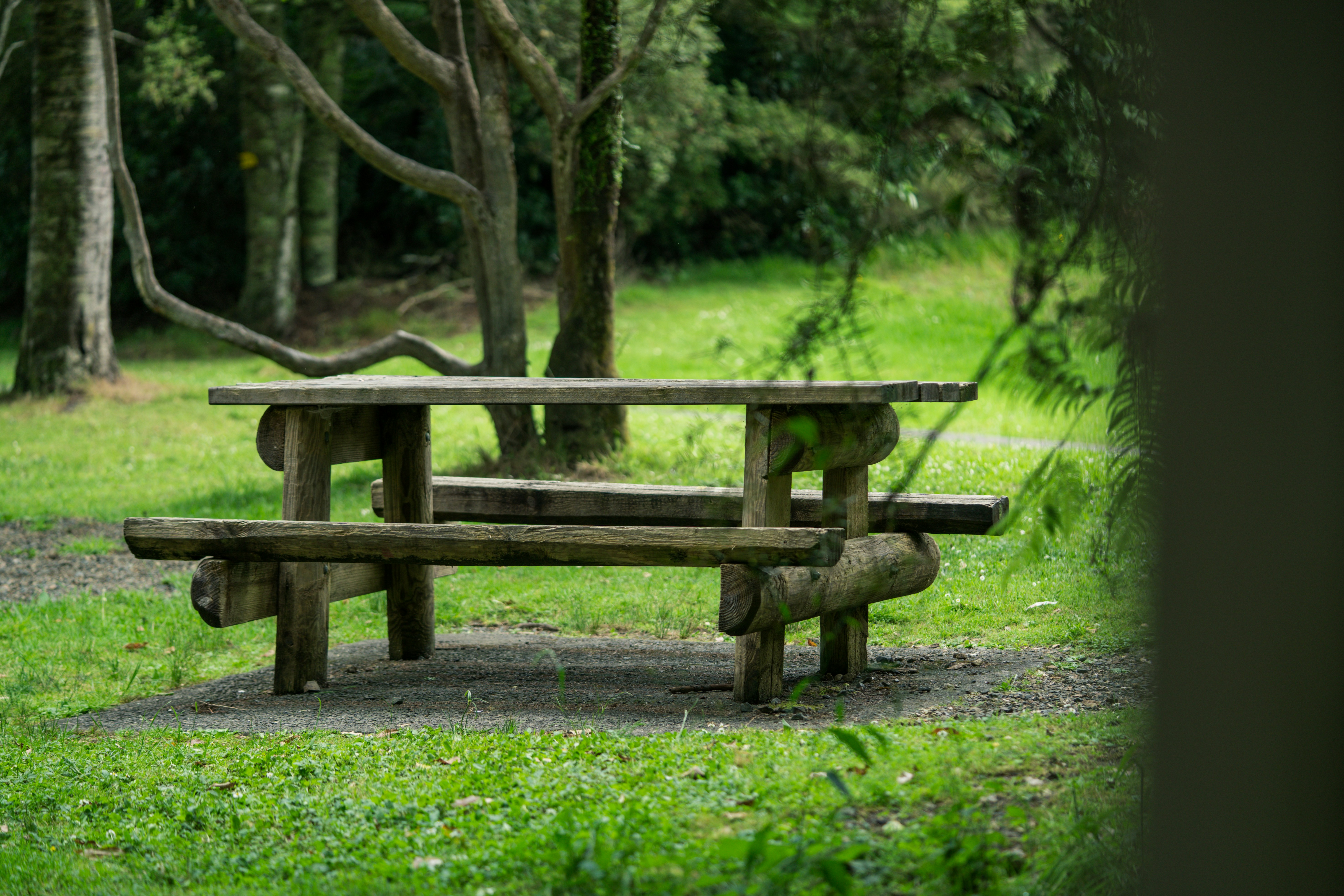 Photo by countingframez