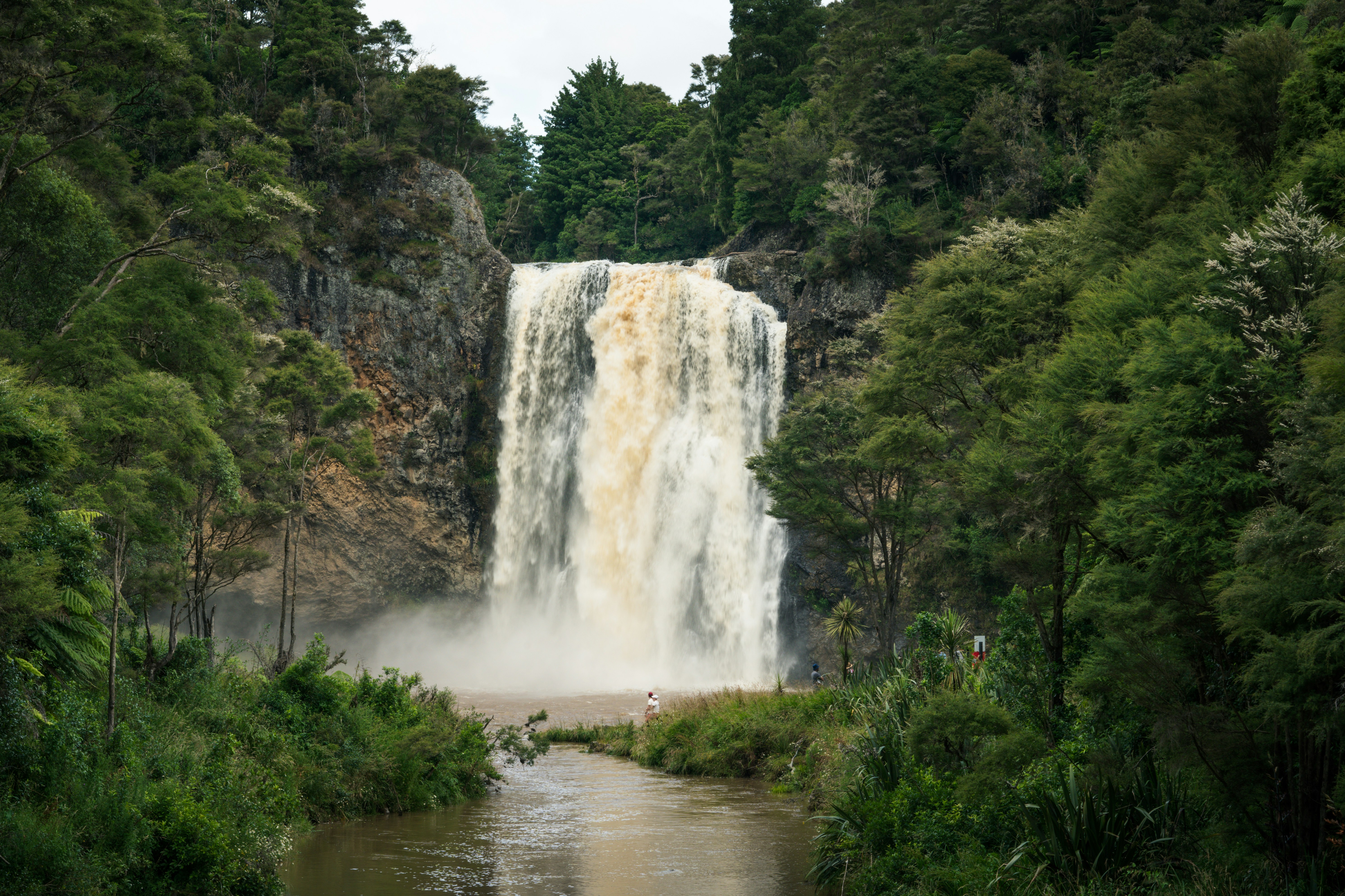 The Hunua Ranges