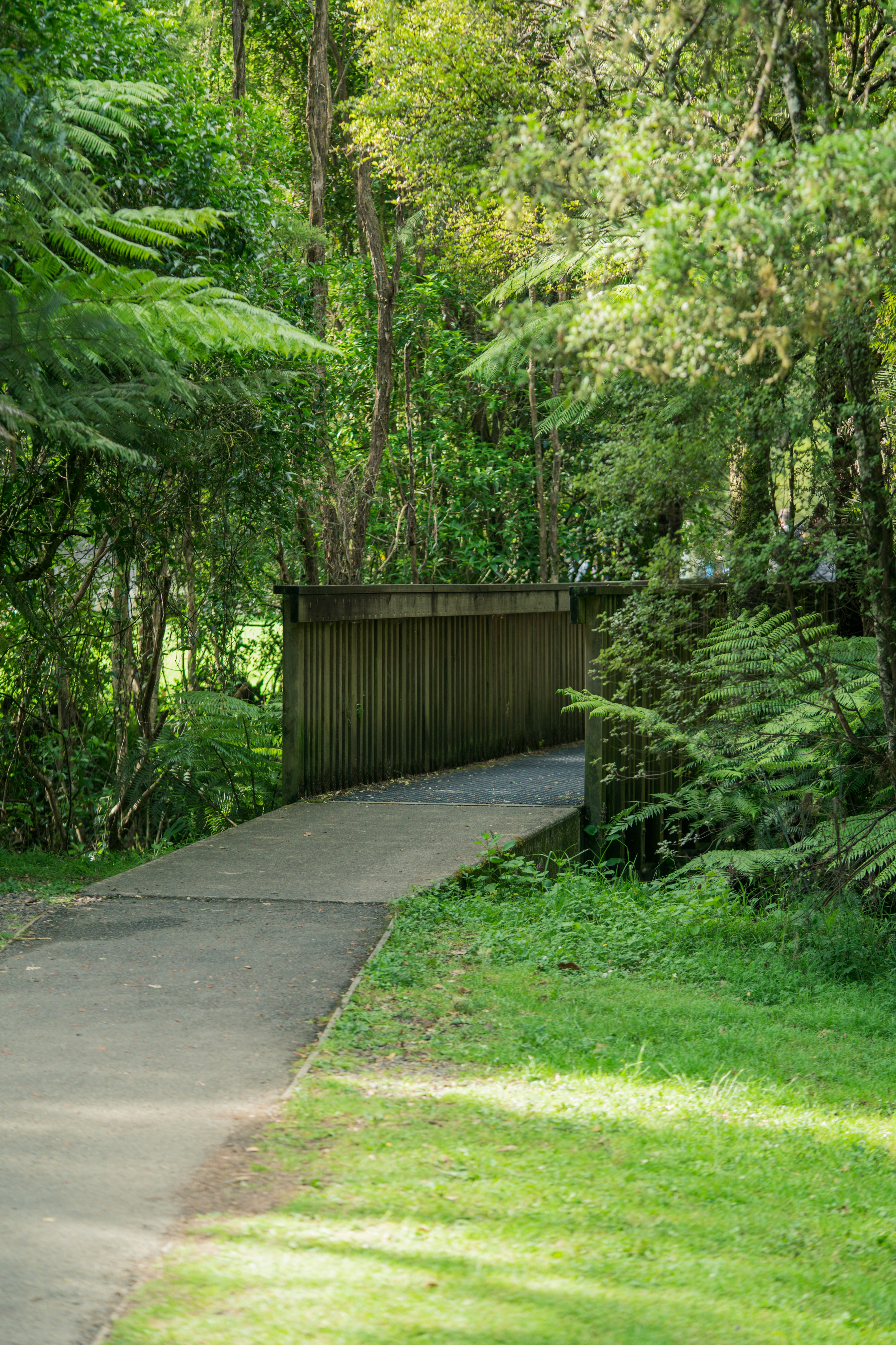 gray computer monitor