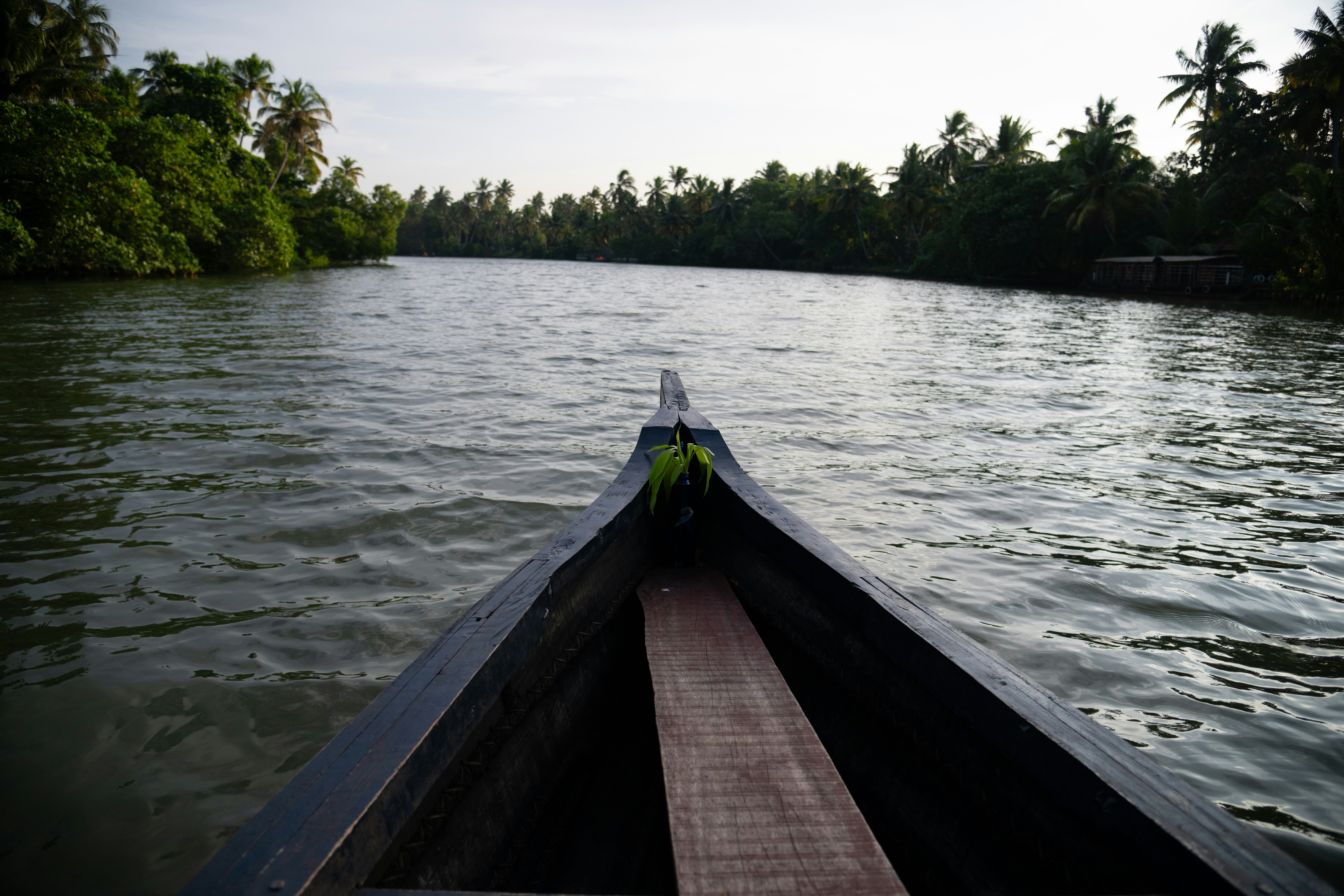 a long boat traveling down a river next to a forest