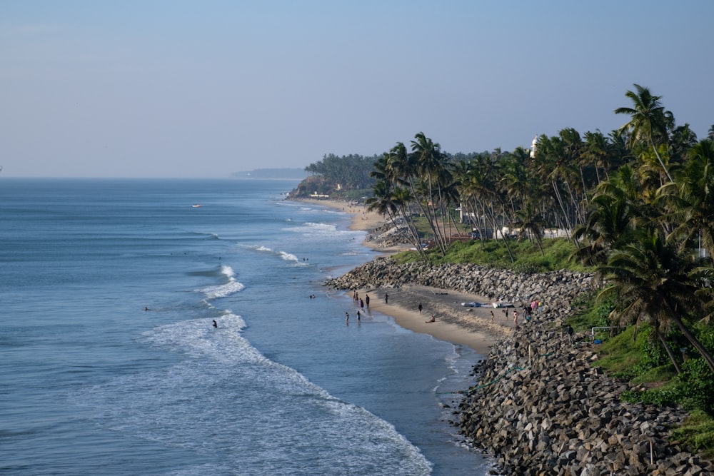 a beach with palm trees and people on it