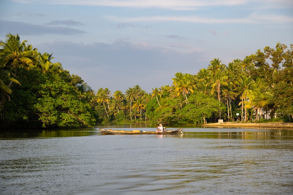 a man in a boat on a river surrounded by palm trees