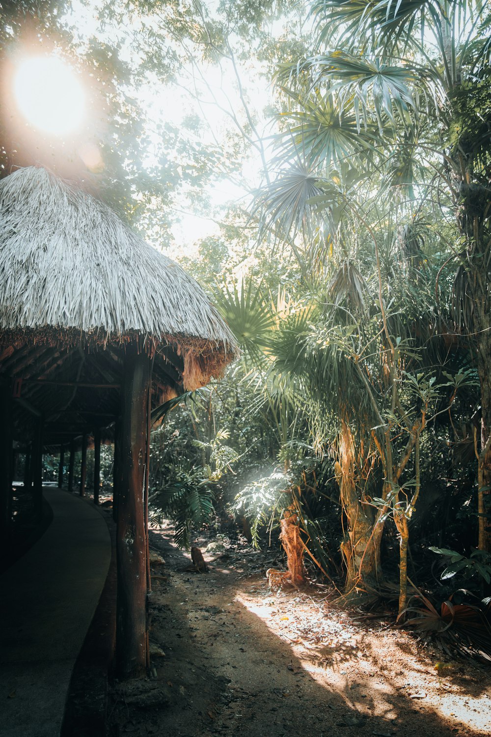 a hut in the middle of a jungle