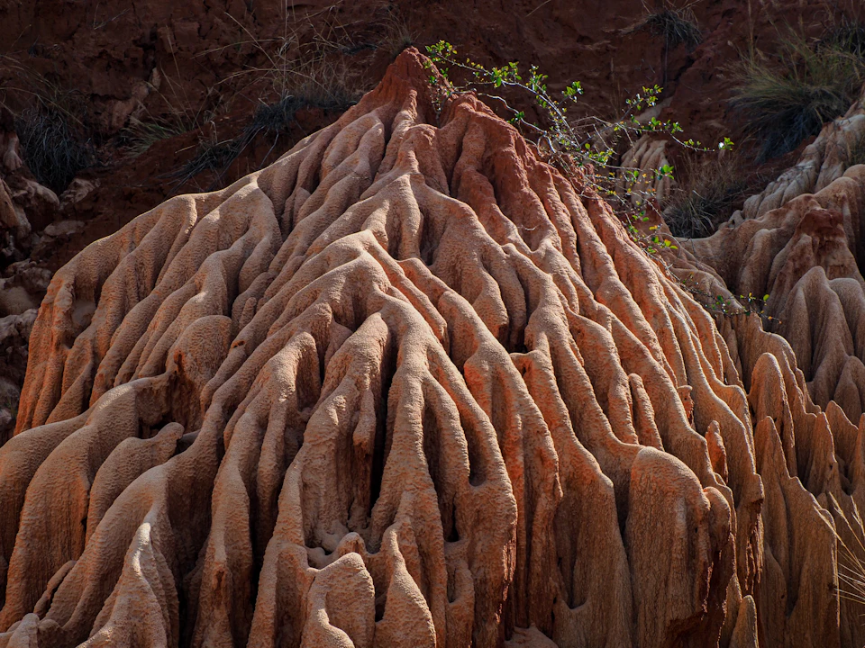 The image depicts a large, cone-shaped rock formation with a rough texture and a reddish-brown hue. The rock formation is situated on a hillside, surrounded by vegetation including grasses and shrubs. A small plant can be seen growing at the base of the rock formation, adding a touch of green to the otherwise brown landscape.

The image does not contain any discernible text or countable objects, making it difficult to provide specific details about its composition or origin.