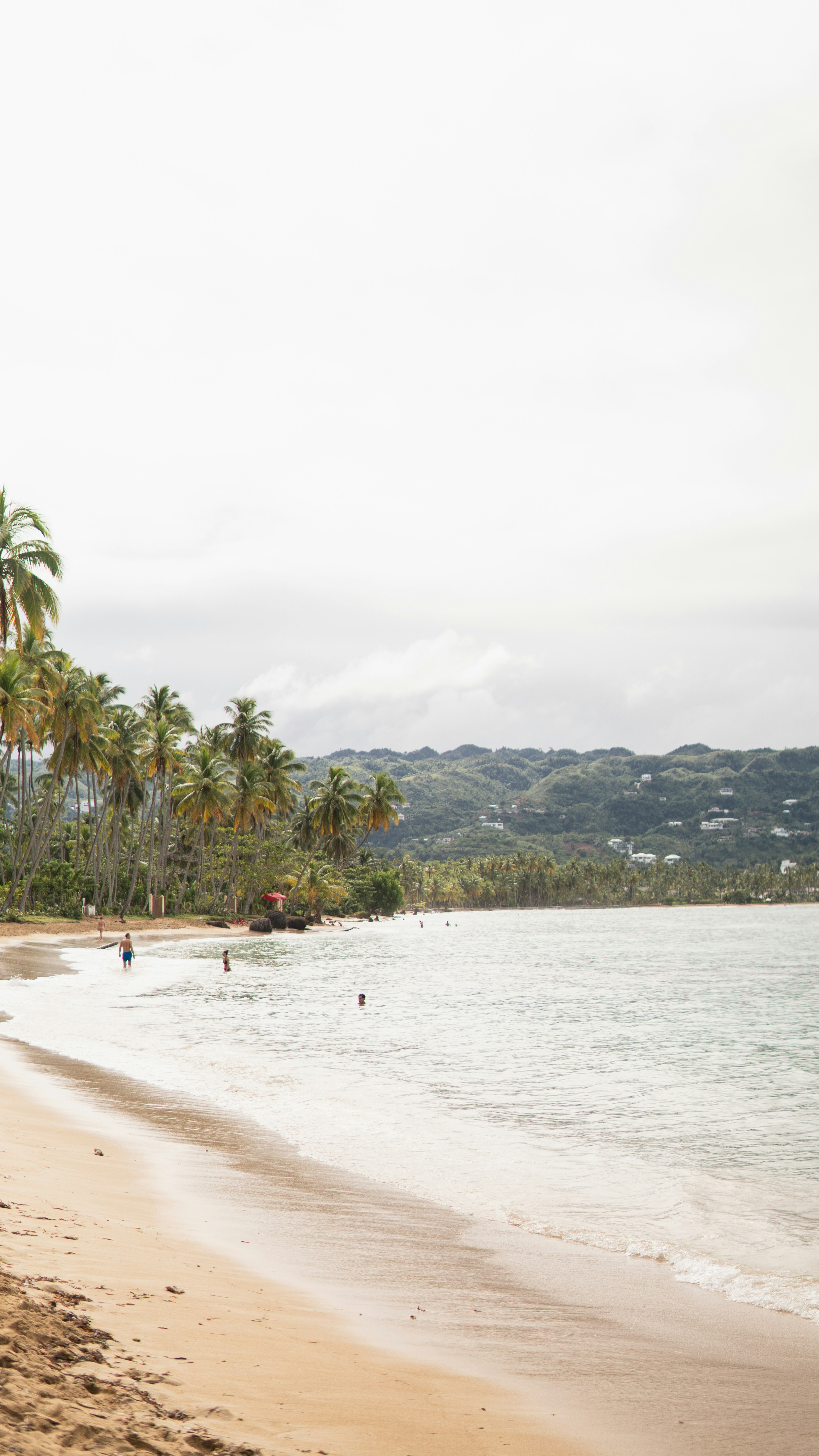 a sandy beach with palm trees and people in the water