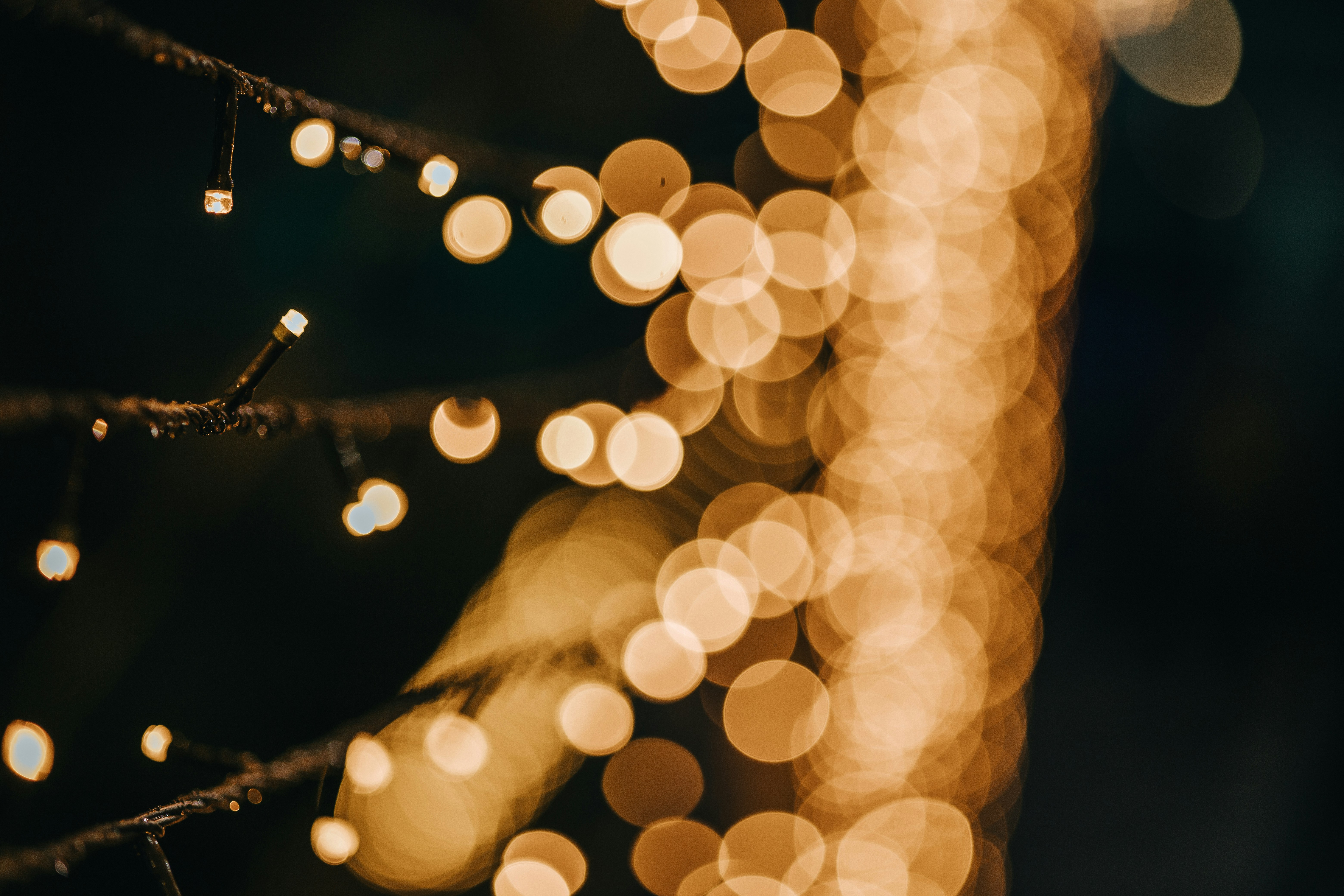 Photo by rrodriguesim