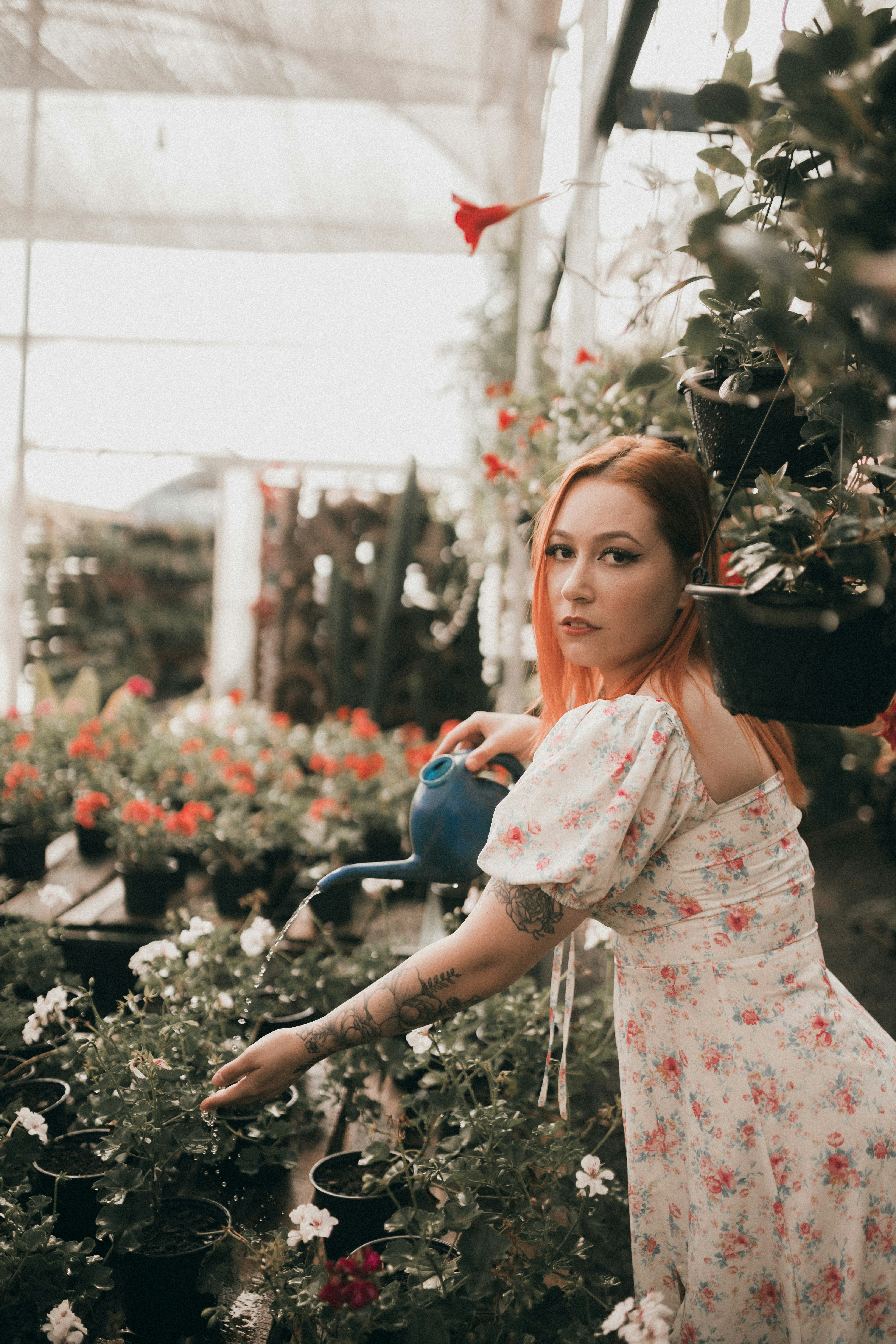 Photo by alexandermassph