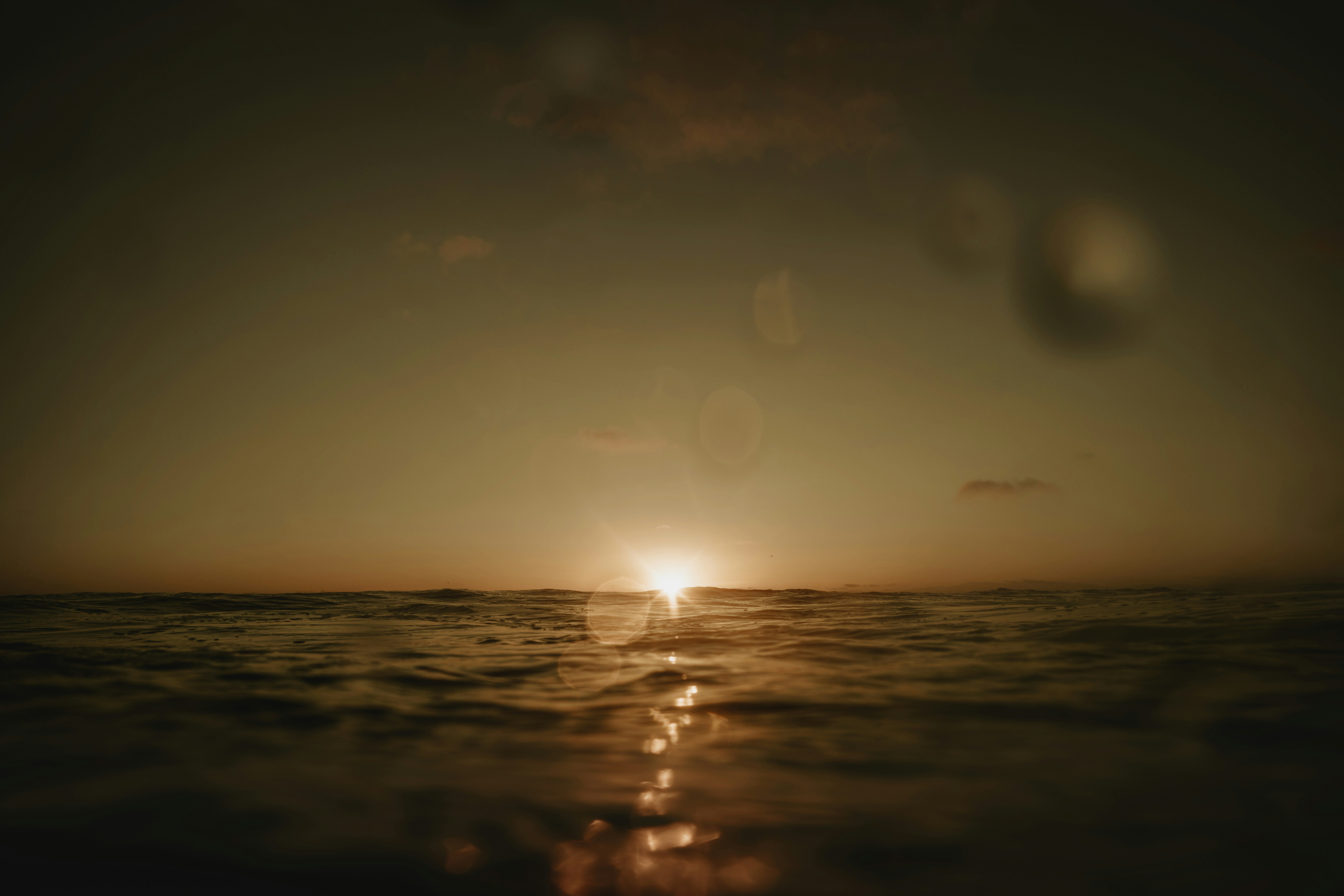 Photo by joeduartejpg