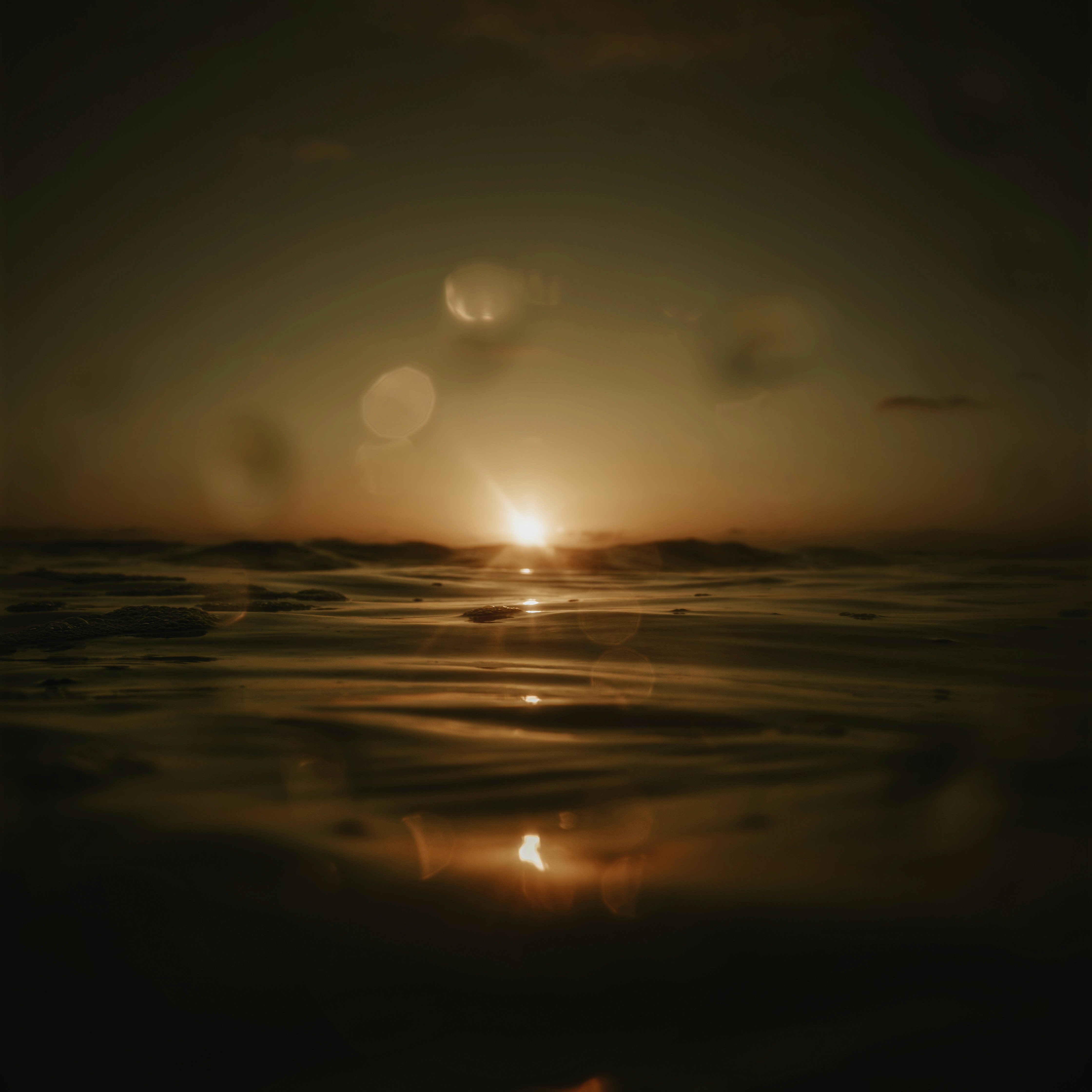 Photo by joeduartejpg