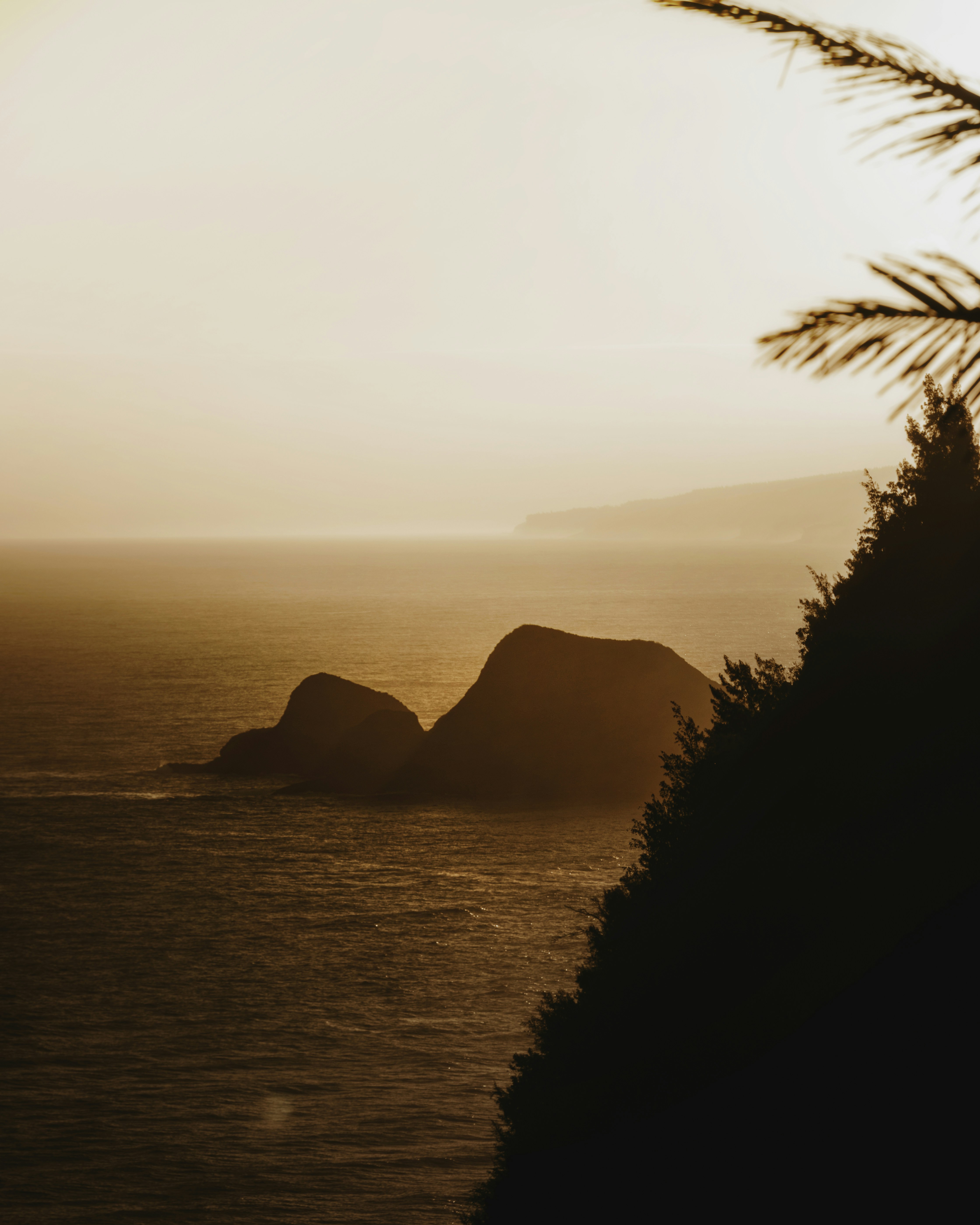 Photo by joeduartejpg