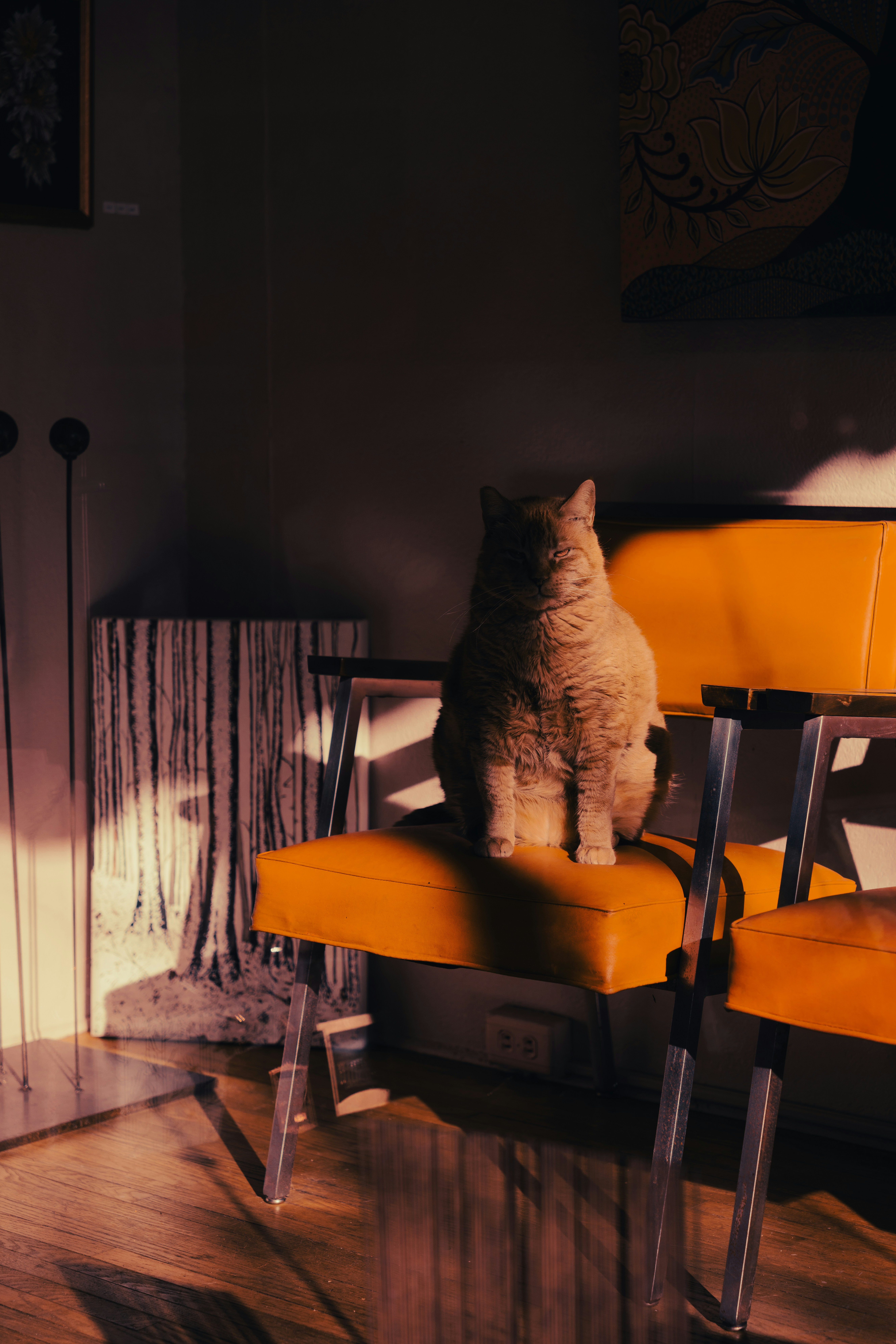 Photo by nellie_adamyan