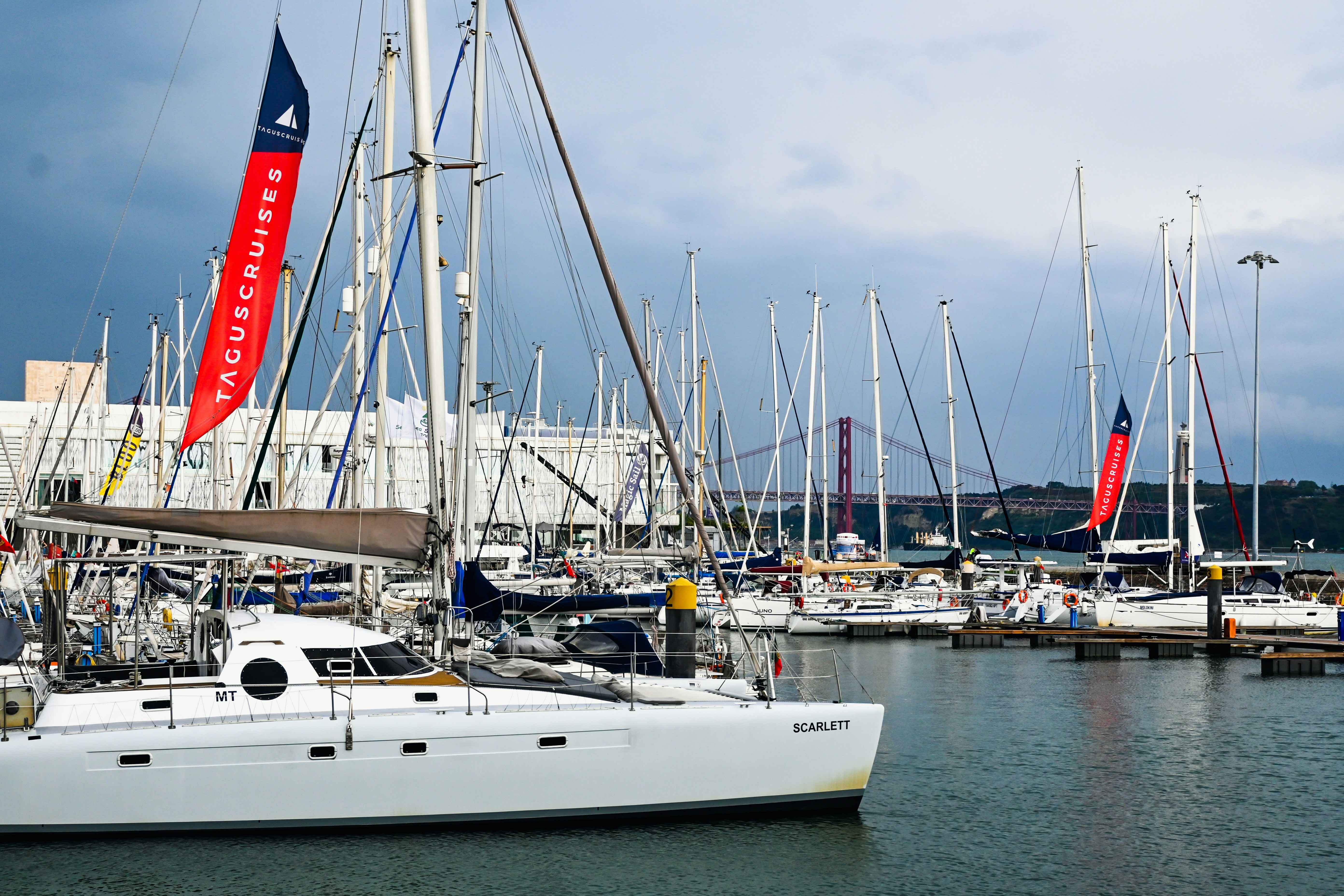 A group of sailboats docked in a harbor photo – Free Human Image on ...