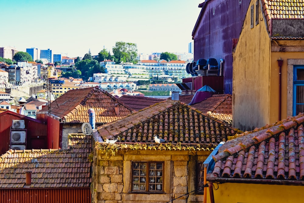 a view of a city from a rooftop