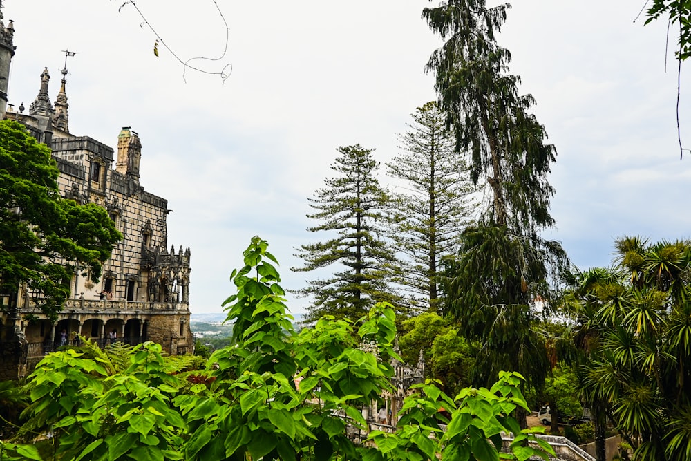 a large building surrounded by trees on a cloudy day