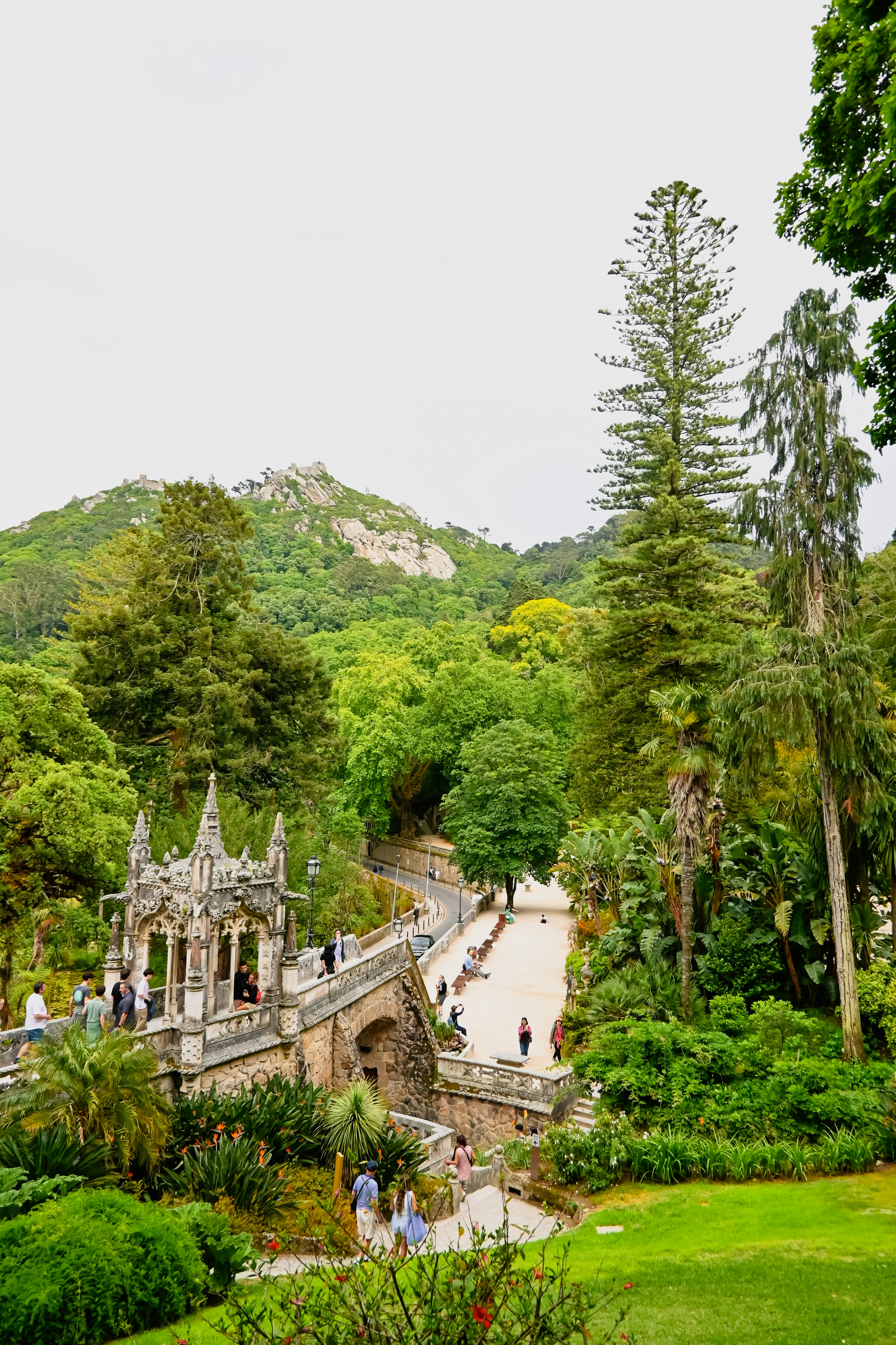 un gruppo di persone che camminano in un parco verde lussureggiante