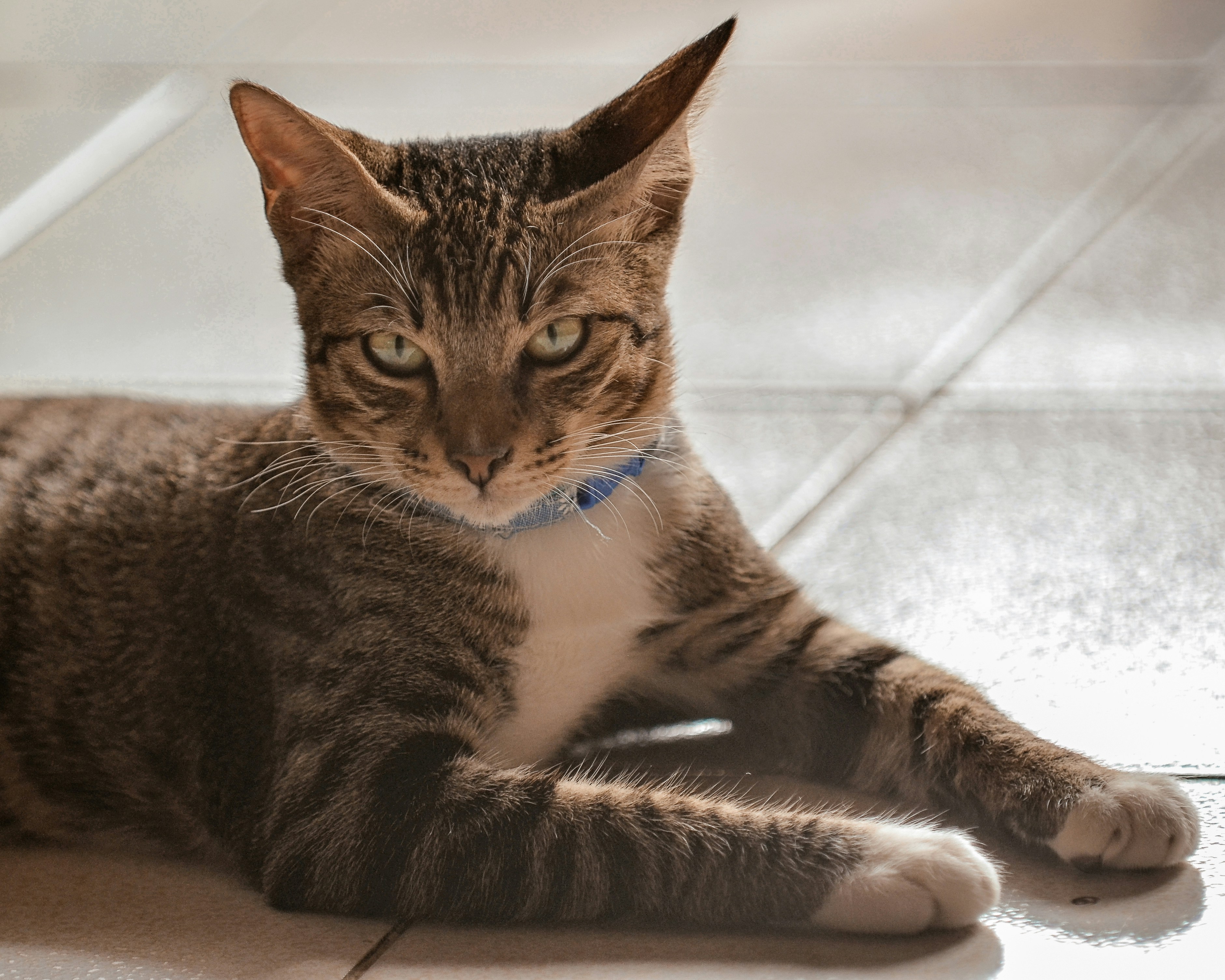 The Comfort of Predictable Routines (image credits: unsplash)