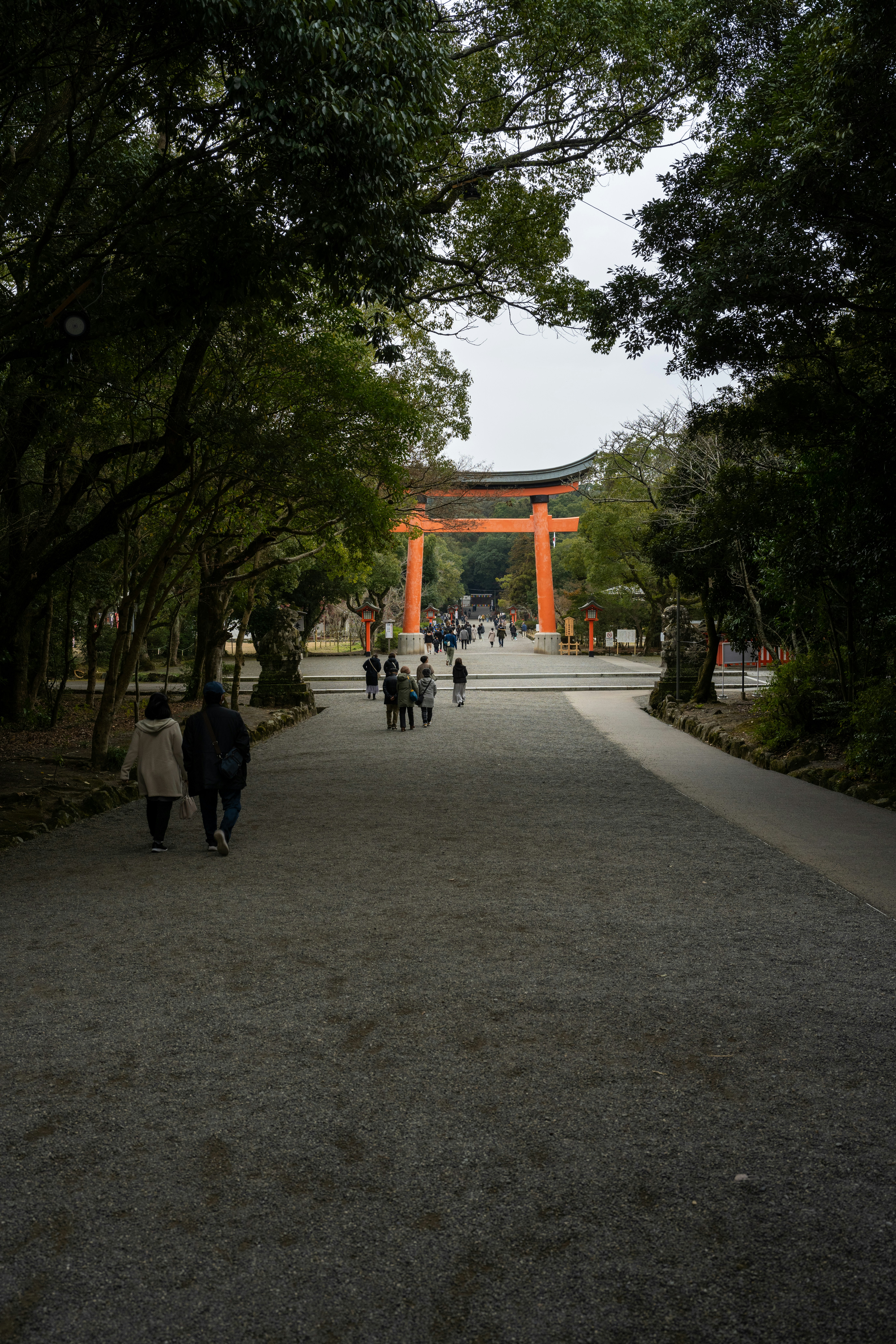 Photo by pafuxu