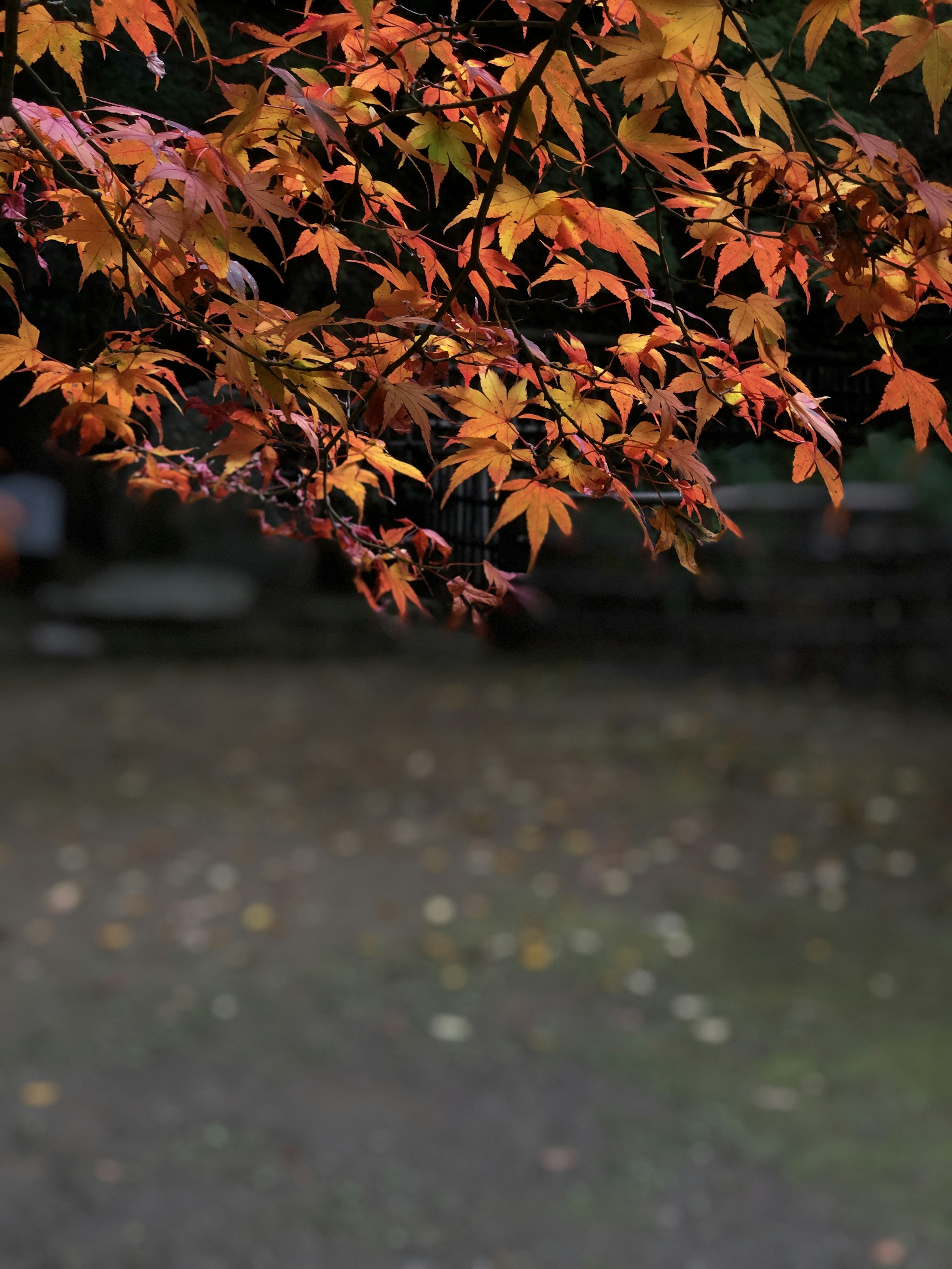 Photo by sunday_722