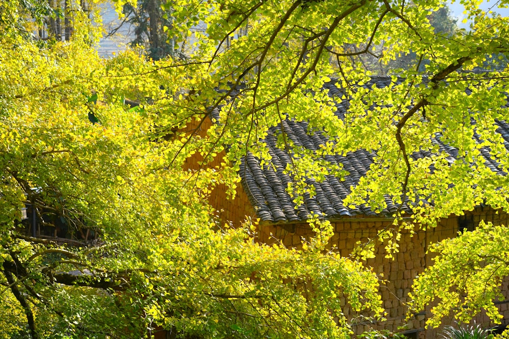 a yellow building with a black roof surrounded by trees