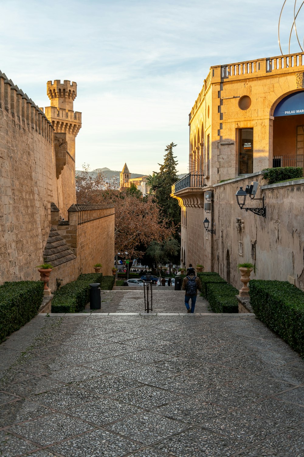 a cobblestone walkway between two buildings