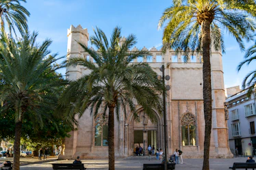 a group of palm trees in front of a building
