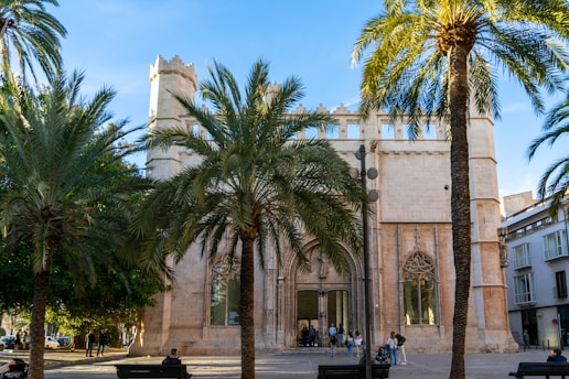 a group of palm trees in front of a building
