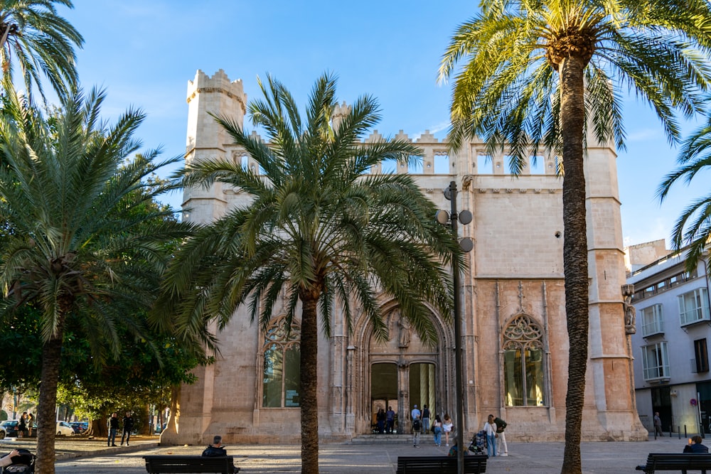 a group of palm trees in front of a building