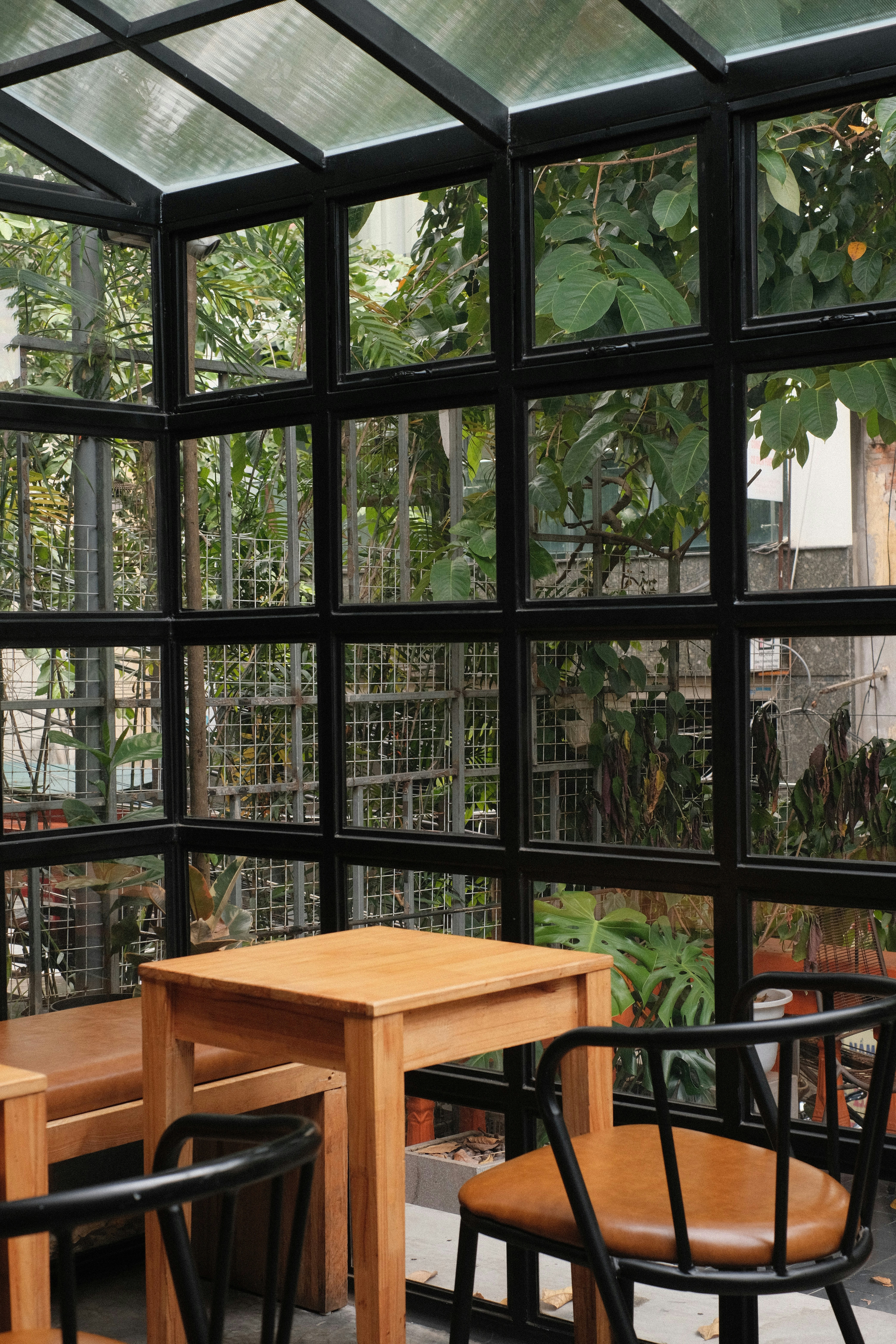 Photo by donguyenkhanhs