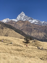 a group of people hiking up a hill