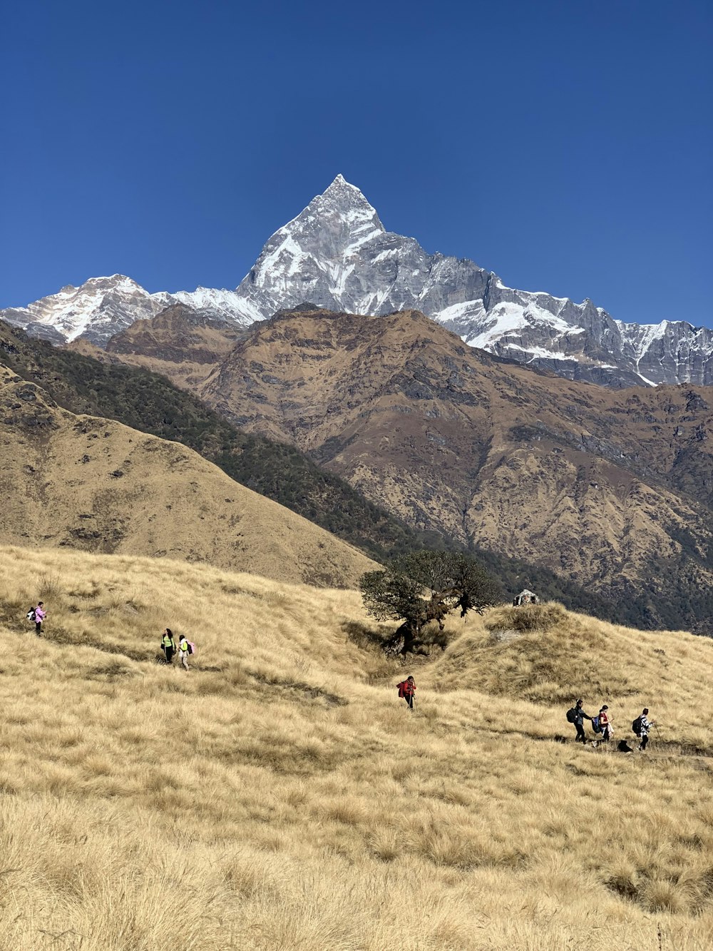 a group of people hiking up a hill