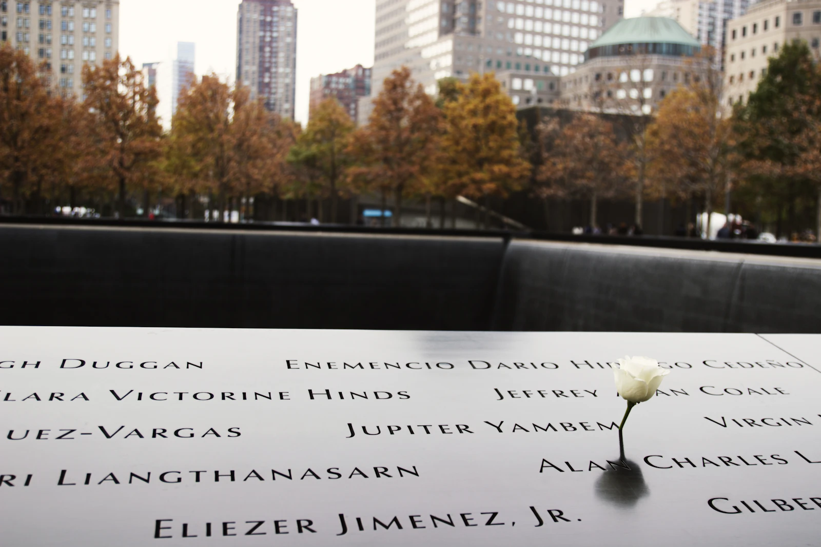 Travel photograph: A single white rose resting beside a name on the bronze parapet of the 9/11 Memorial.